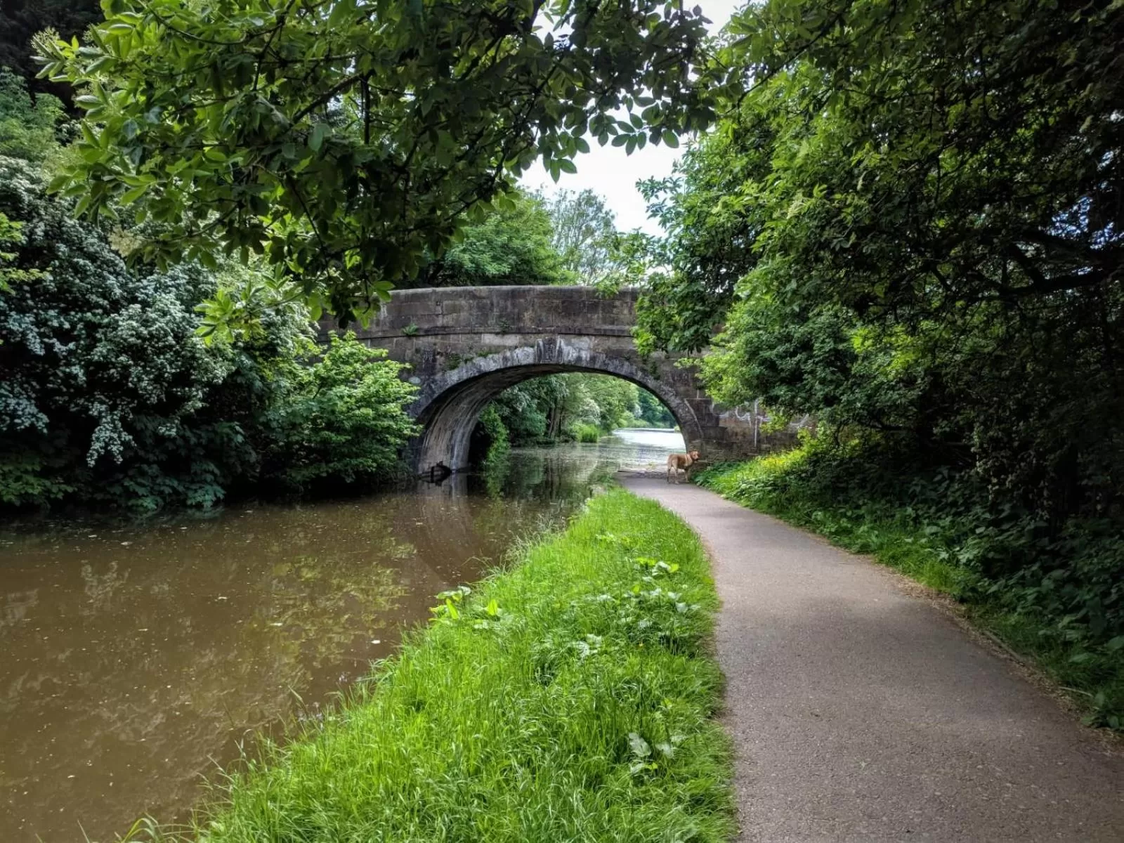 Off site in Lancaster Townhouse