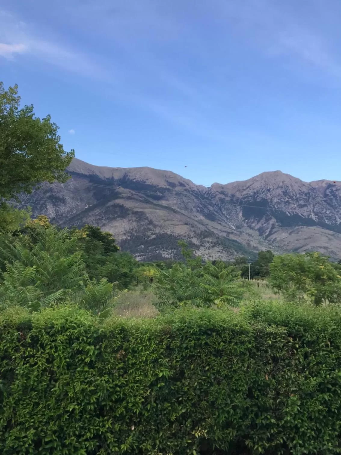 Natural Landscape in Lilly