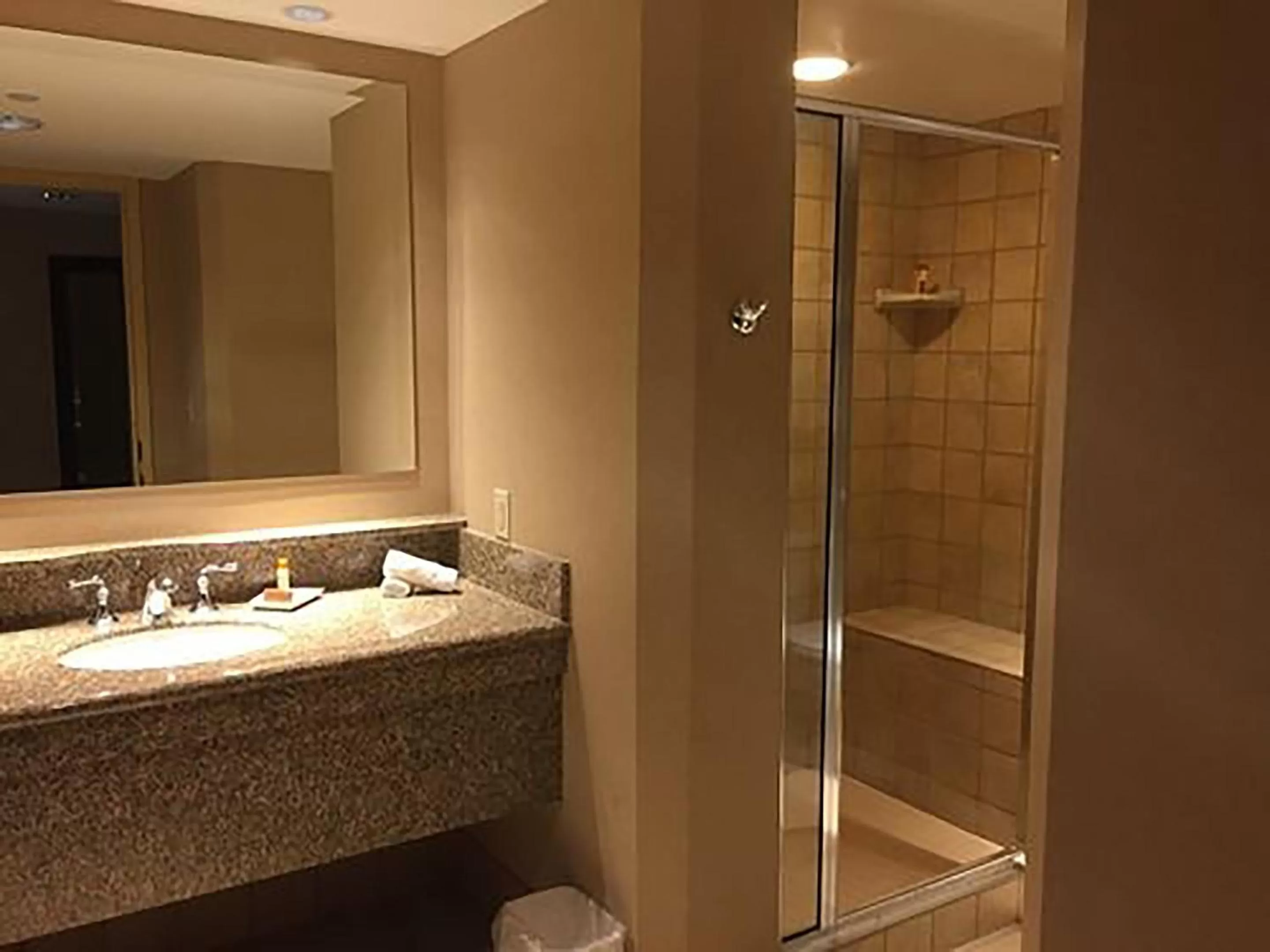 Bathroom in Isle Casino Hotel Waterloo, A Caesars Destination