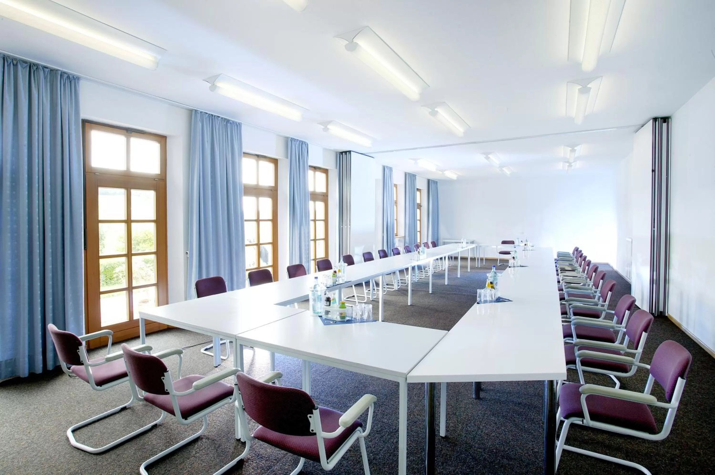 Business facilities in Landhotel Geiselwind