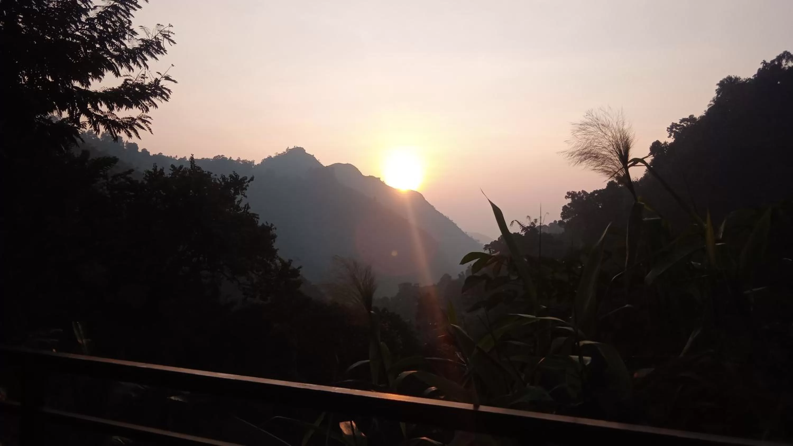 Ella Lucky Panoramic