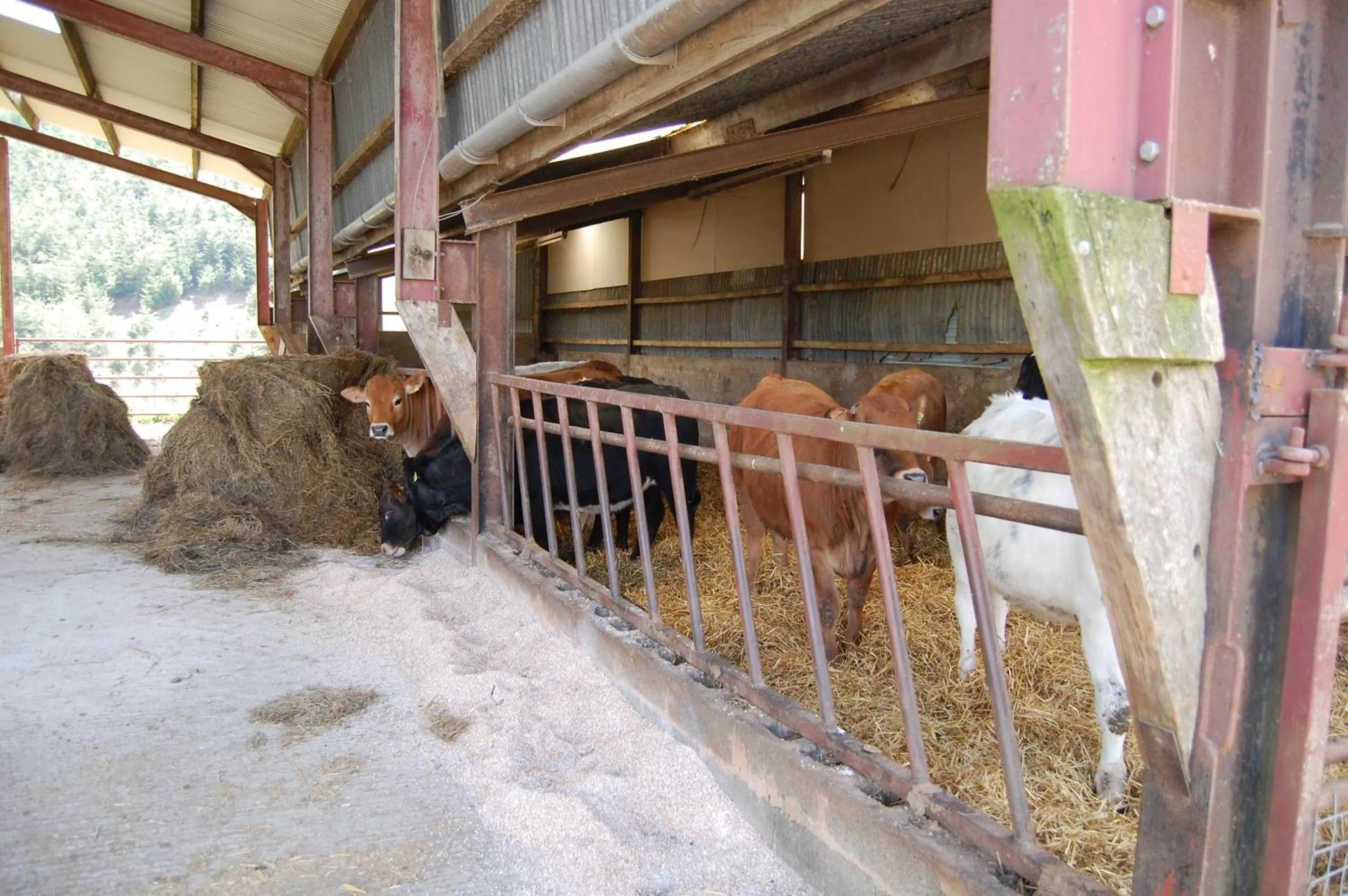 Property building, BBQ Facilities in Middle Woodbatch B&B