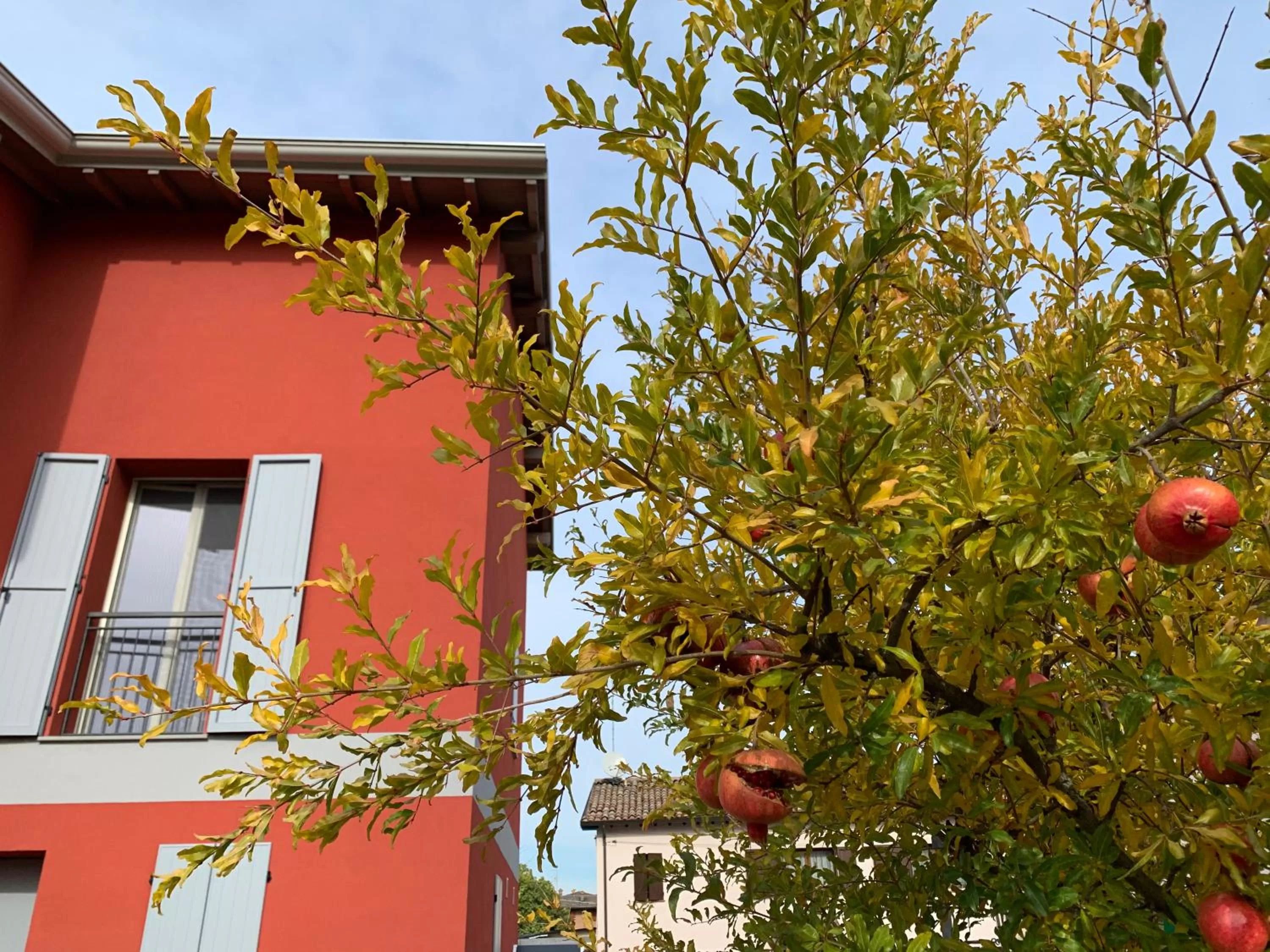 Property Building in Sala dell Estate Guest House