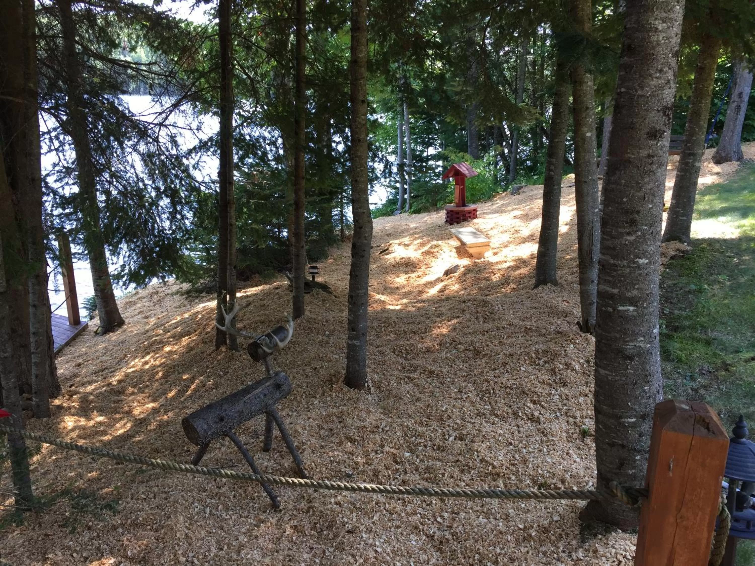 Garden in Strong Timbers BnB