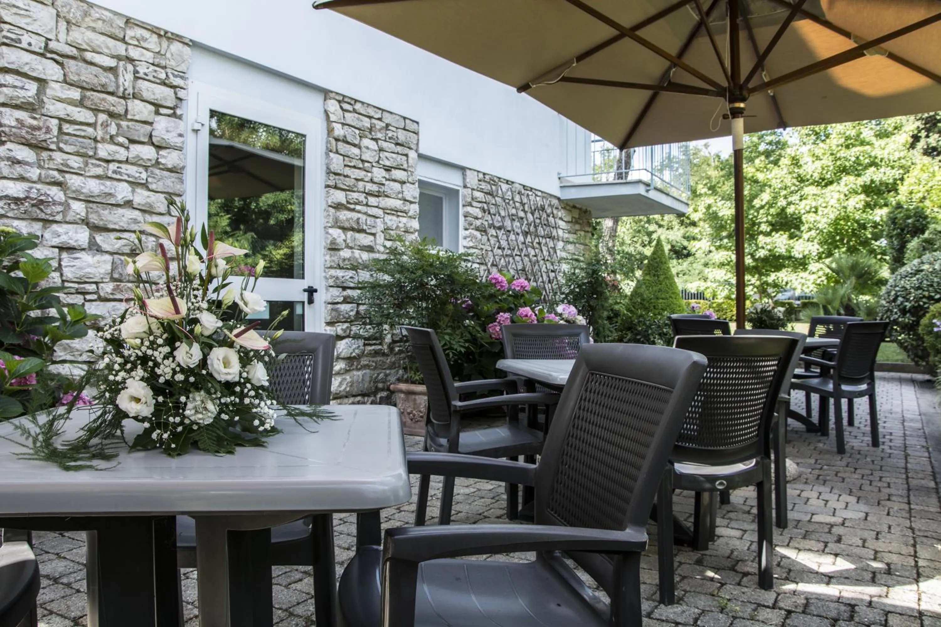 Garden in Hotel Riviera Blu