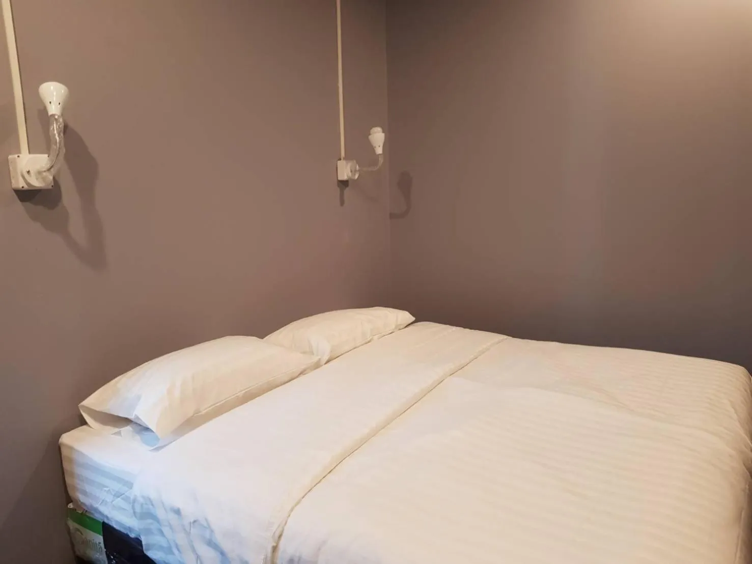 Bed in SleepCats Hostel