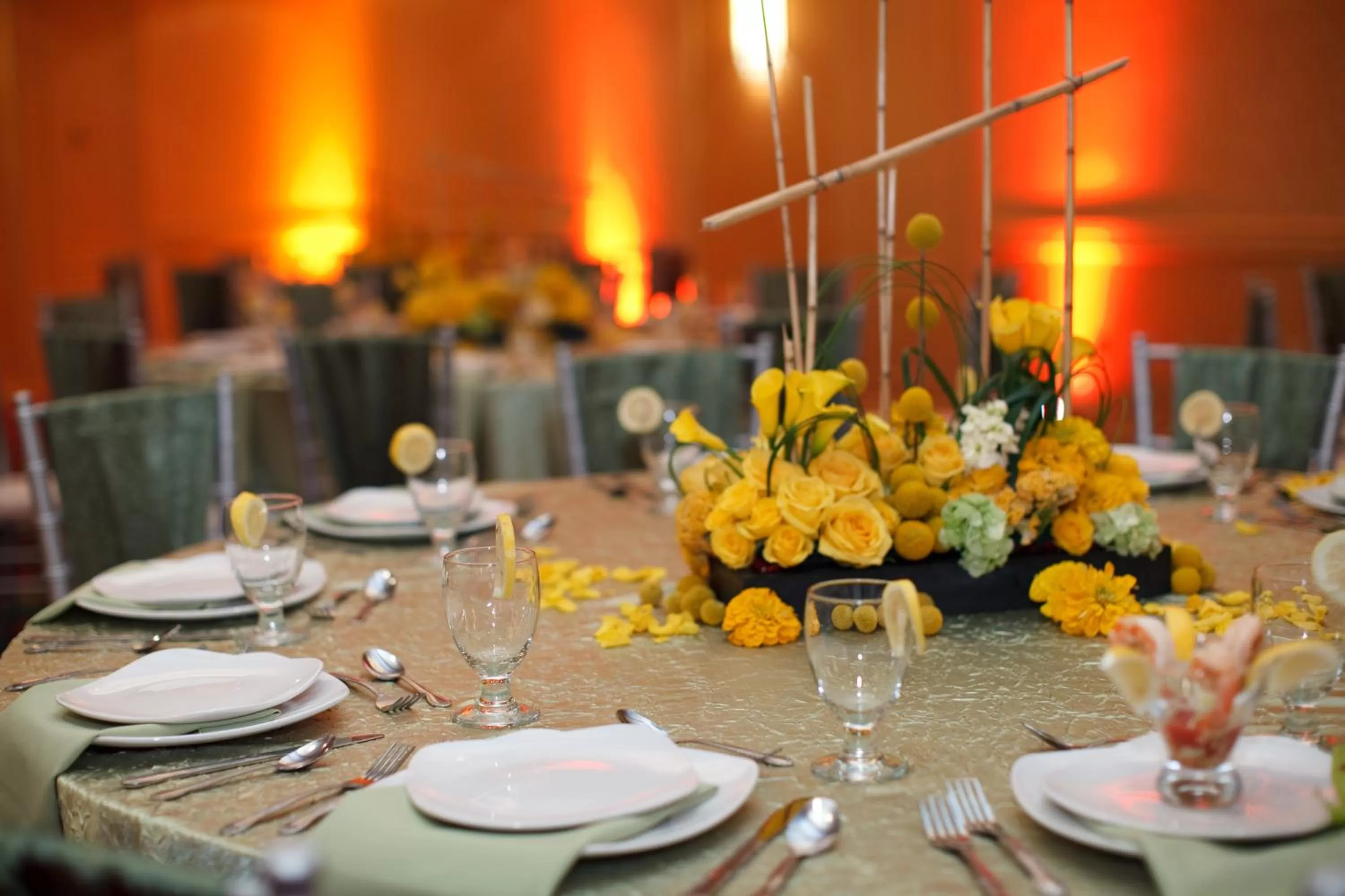 Banquet/Function facilities in Hotel Capstone