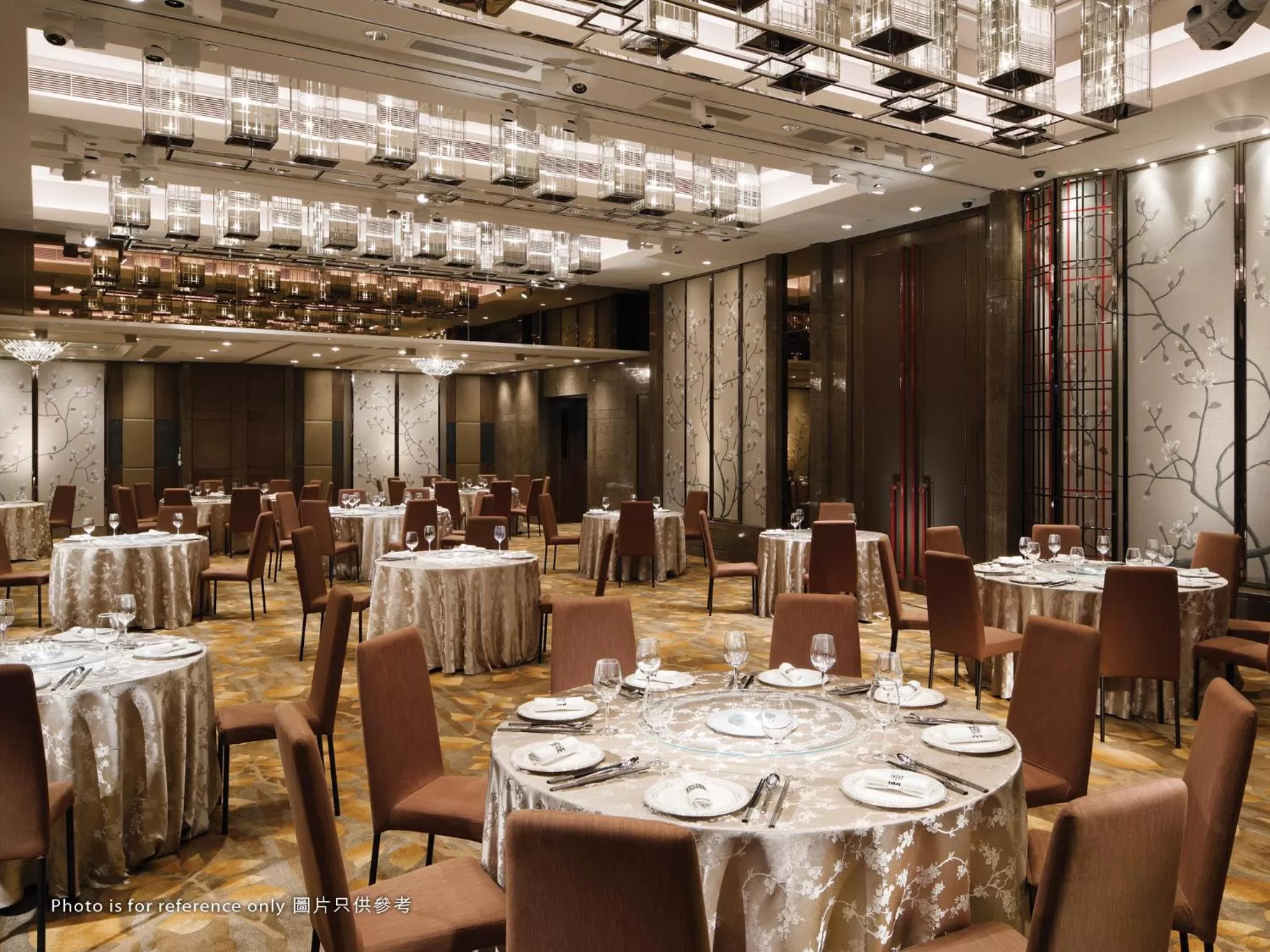 Restaurant/places to eat in Royal Plaza Hotel