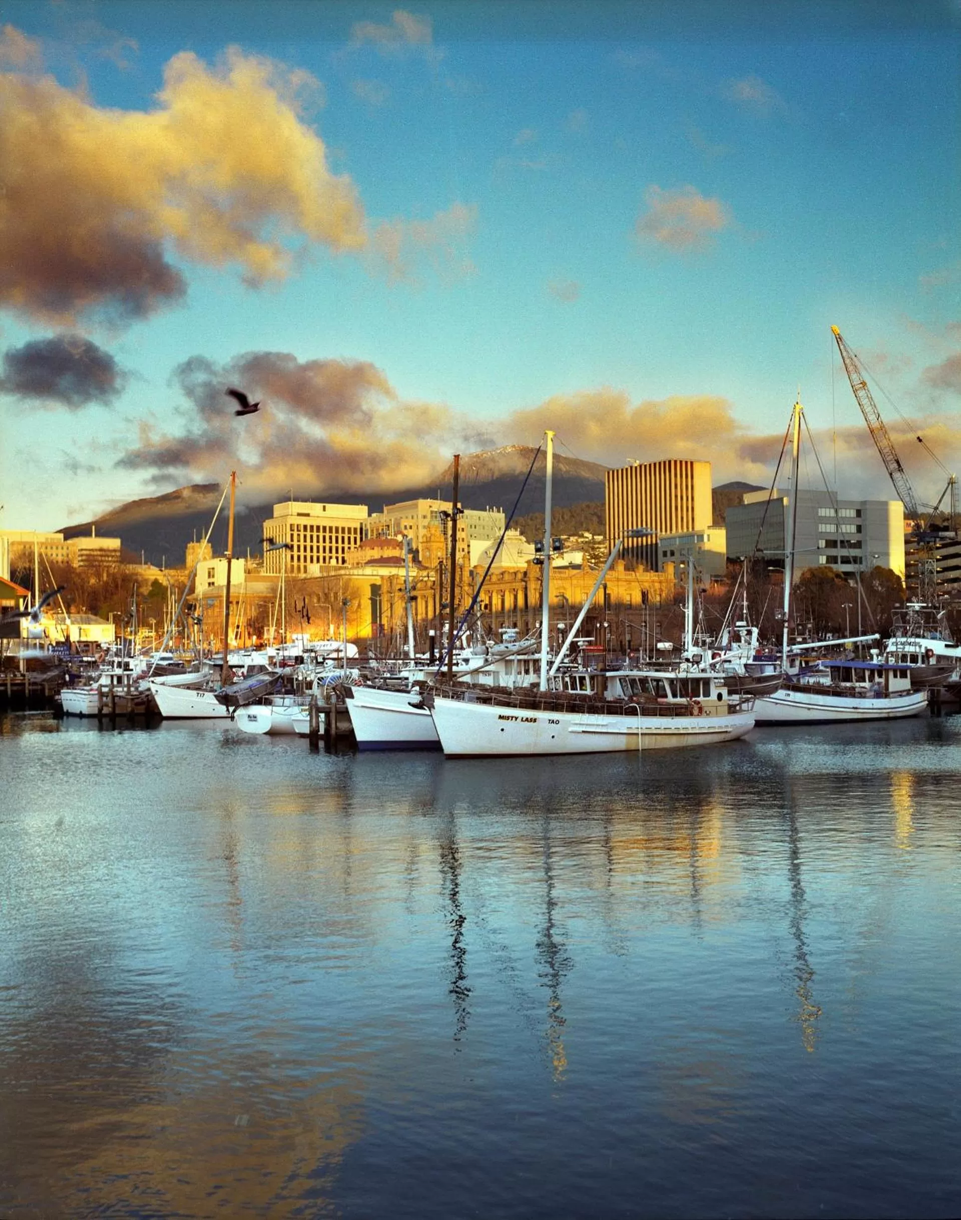 City view in The Henry Jones Art Hotel