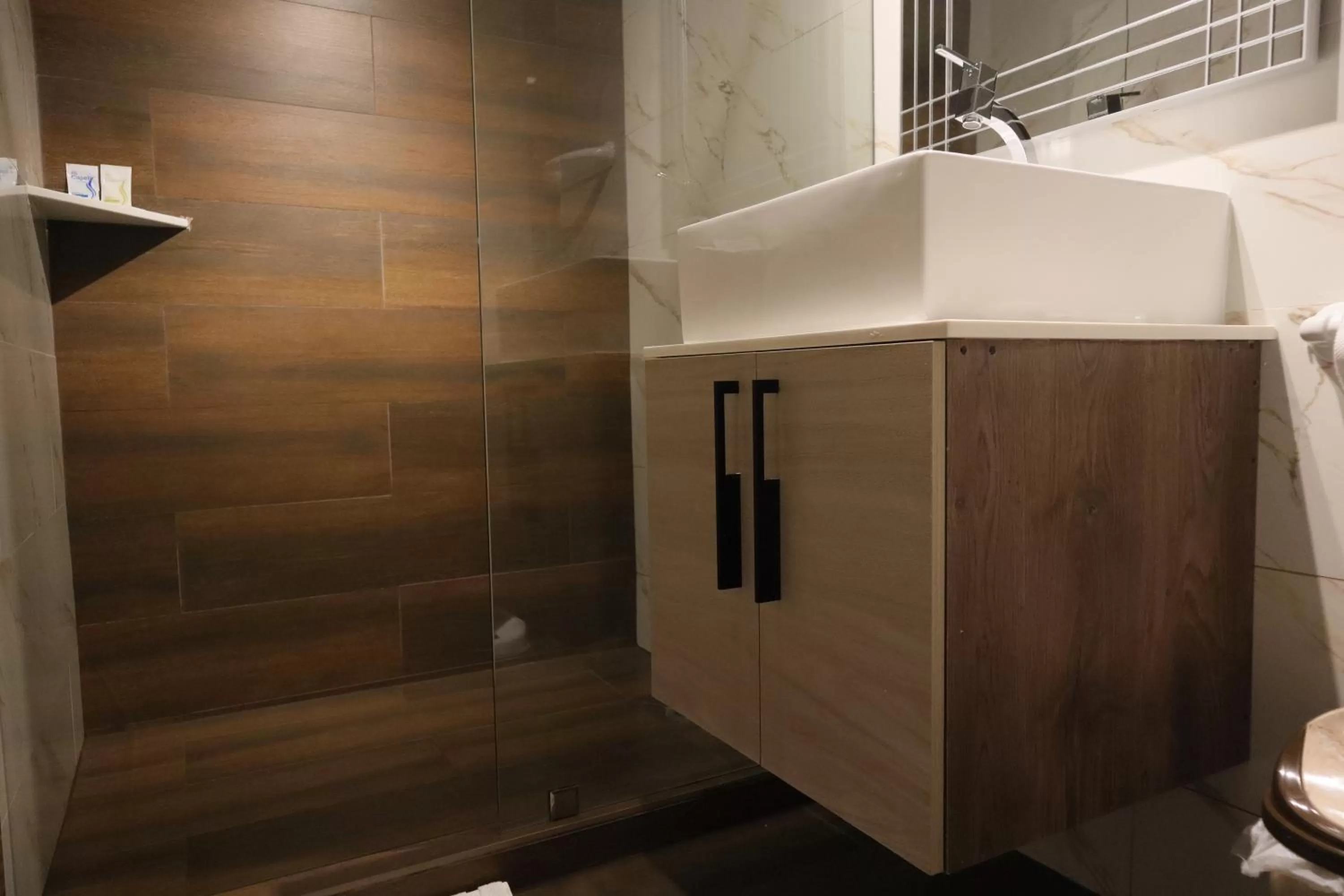 Shower in Hotel Sada