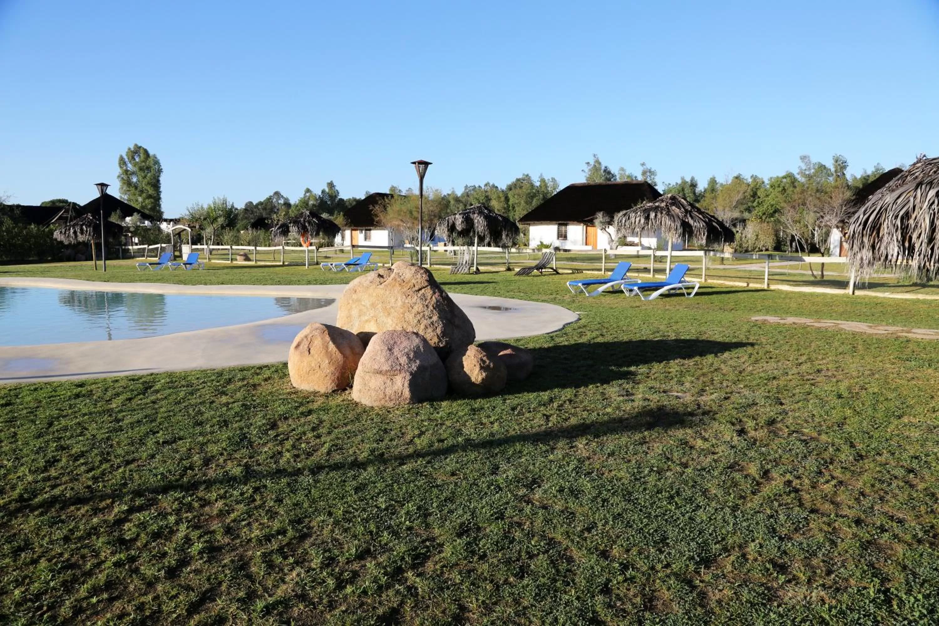 On site in Ardea Purpurea