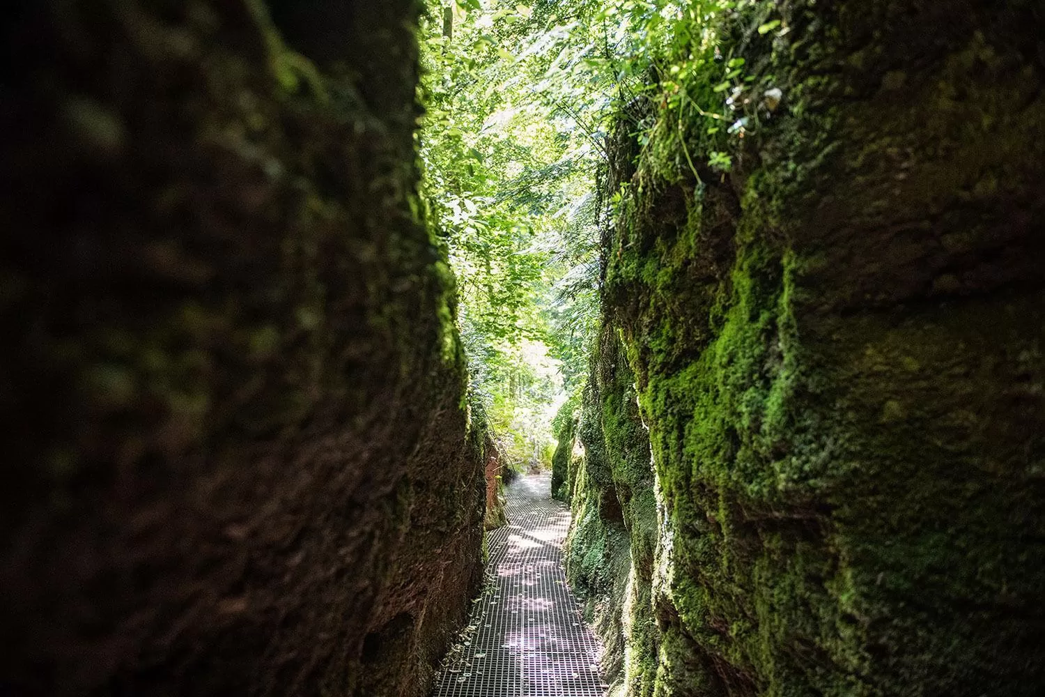 Nearby landmark in Suites MITTE - Aparthotel