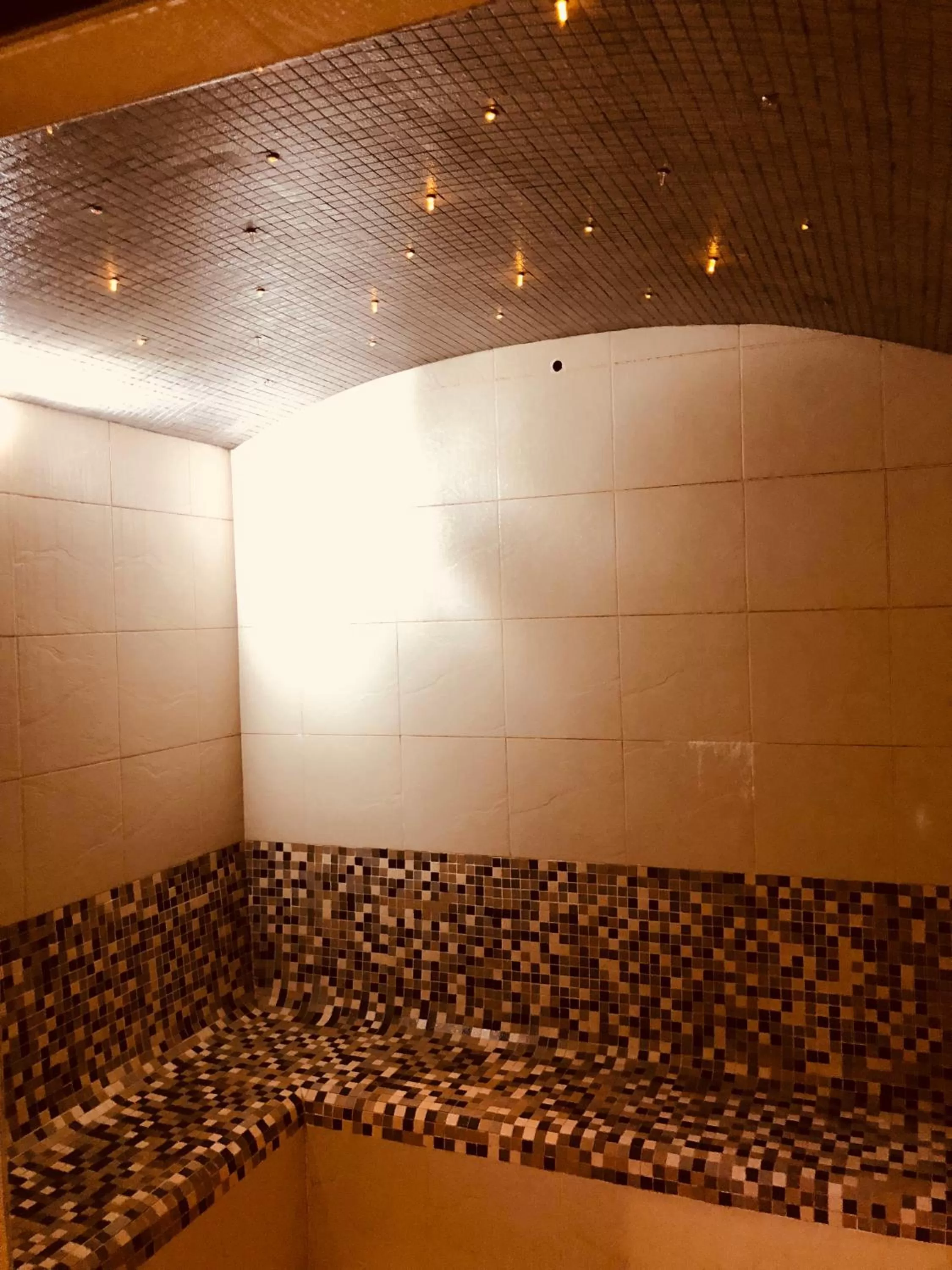 Steam room in Regency Torviscas Apartments and Suites