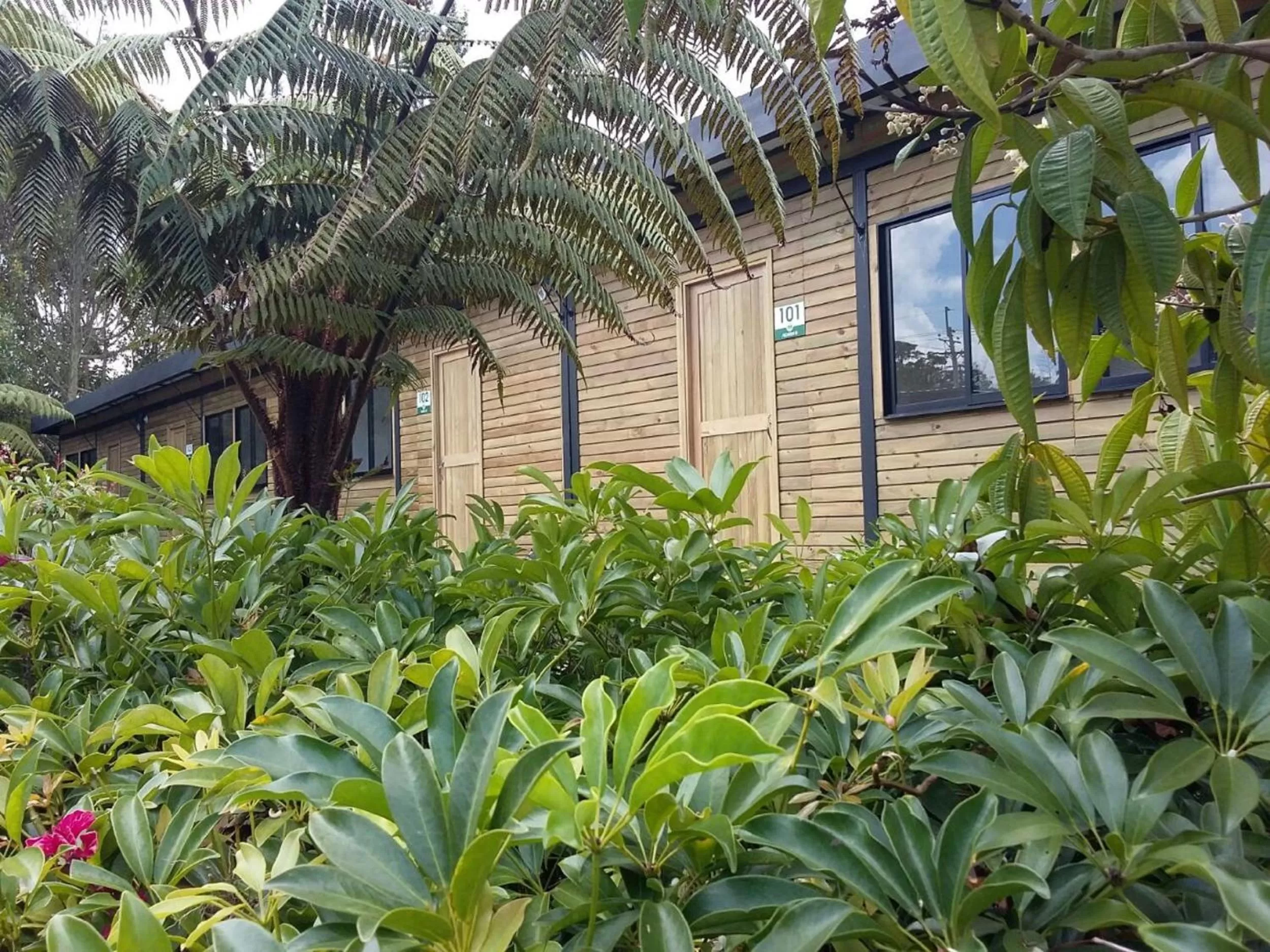 Decorative detail, Property Building in ALTO LODGING Centro de Entrenamiento Deportivo y Negocios, a 2 pasos del Aeropuerto JMC, Transporte Incluido