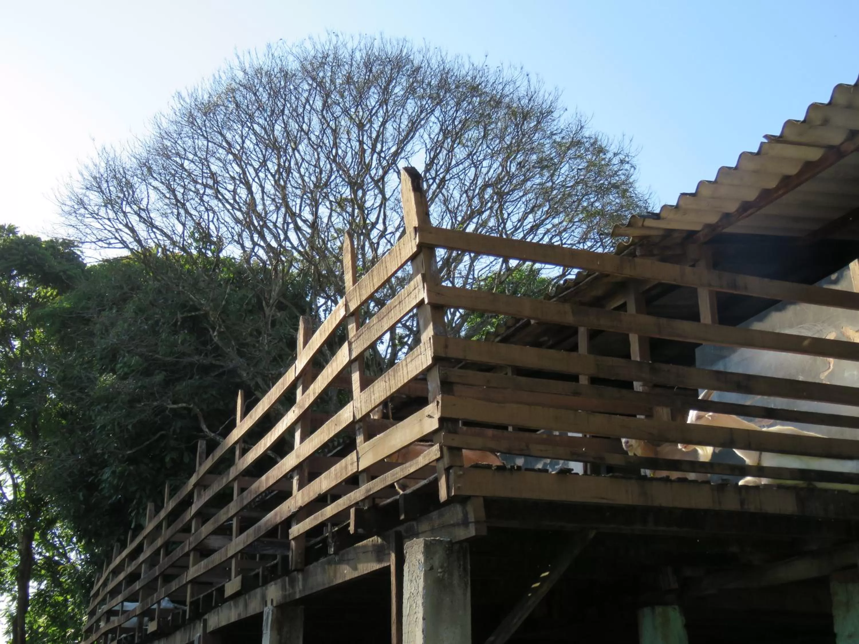 Lagoa Seca Hotel Rural