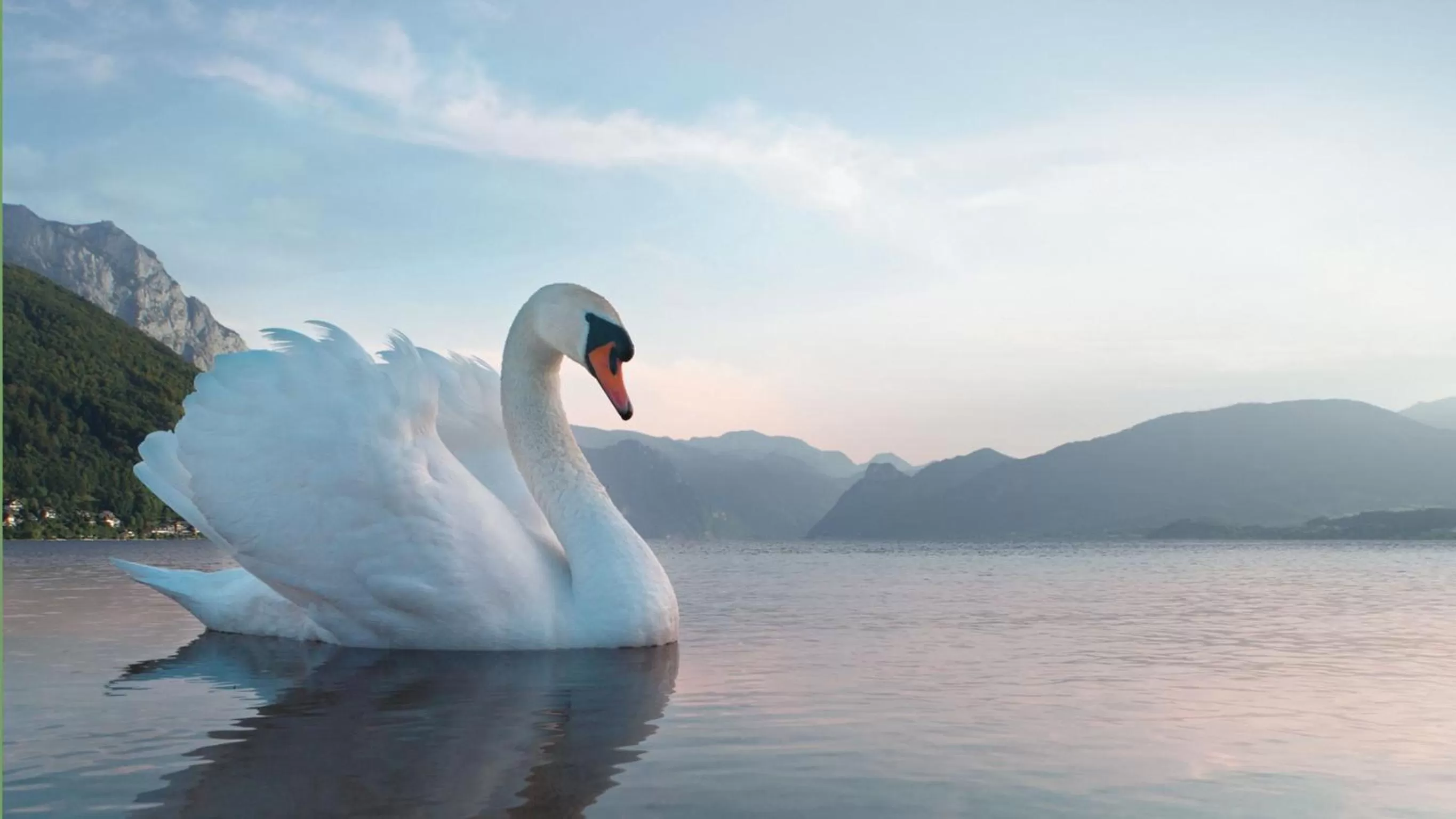 Area and facilities in Seehotel Schwan