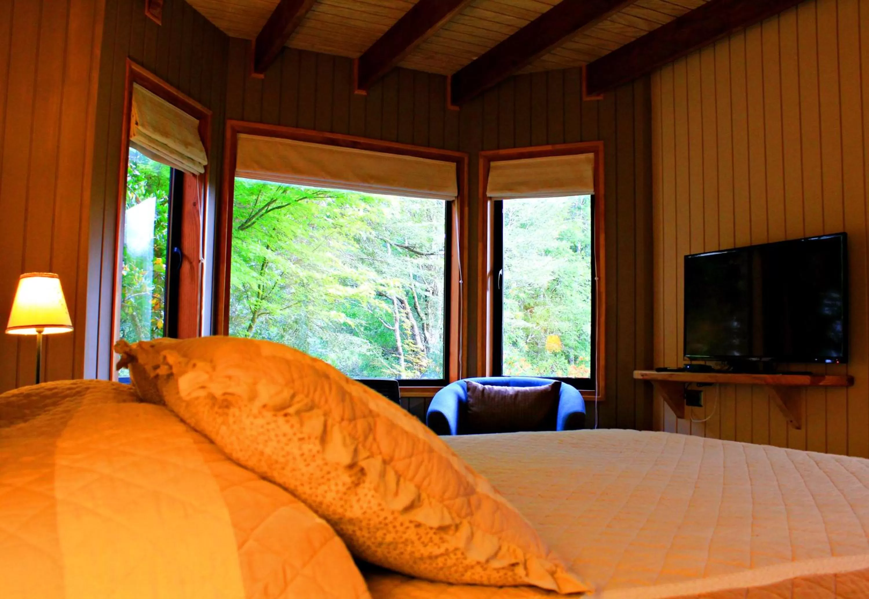 Decorative detail, Room Photo in Hotel Salto del Carileufu