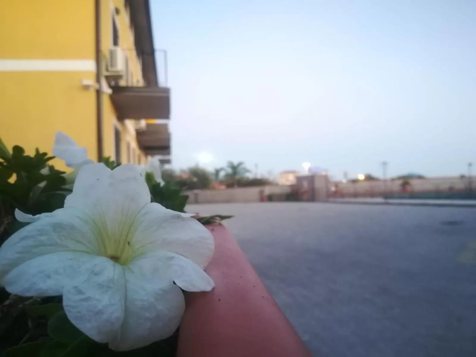 Property Building in I Colori dell'Etna