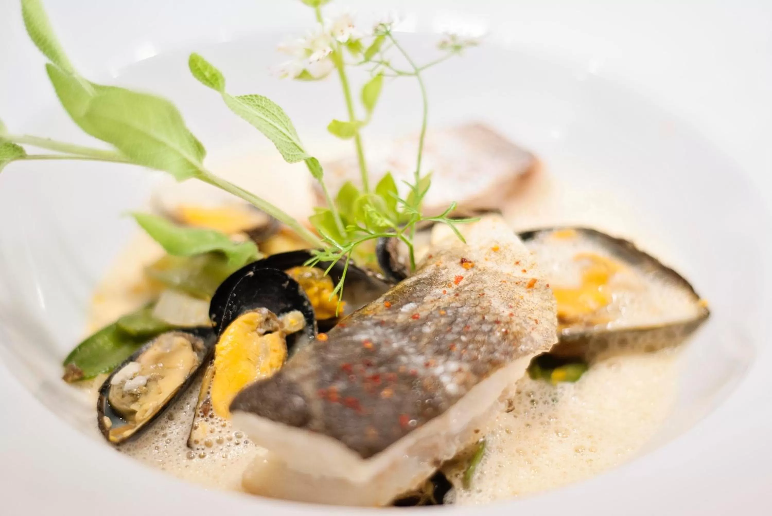 Food close-up in Hôtel Restaurant & Spa Plaisir