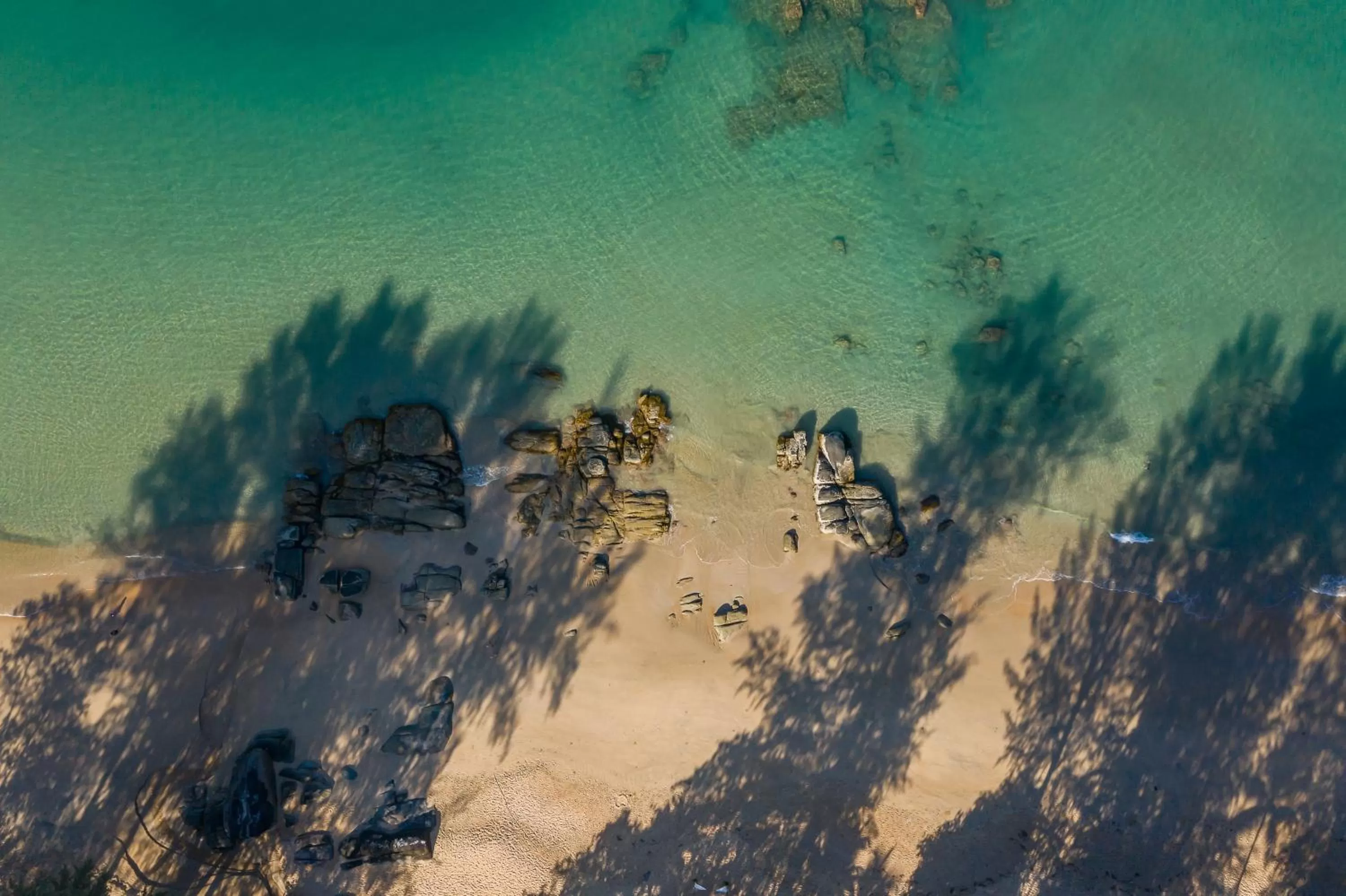 Natural landscape in Khaolak Wanaburee Resort - SHA Extra Plus