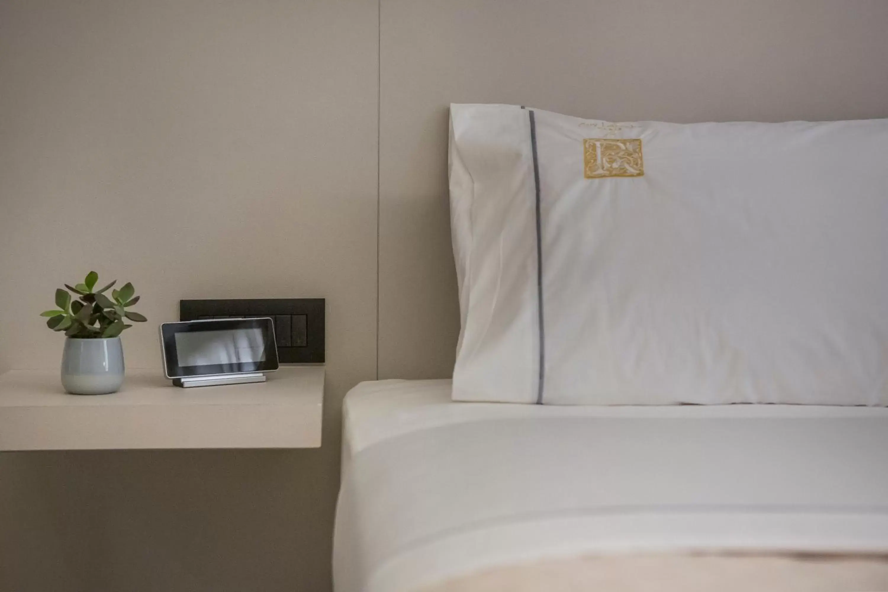 Standard Double Room in Royalty Hotel Athens Standard Double Room in Royalty Hotel Athens