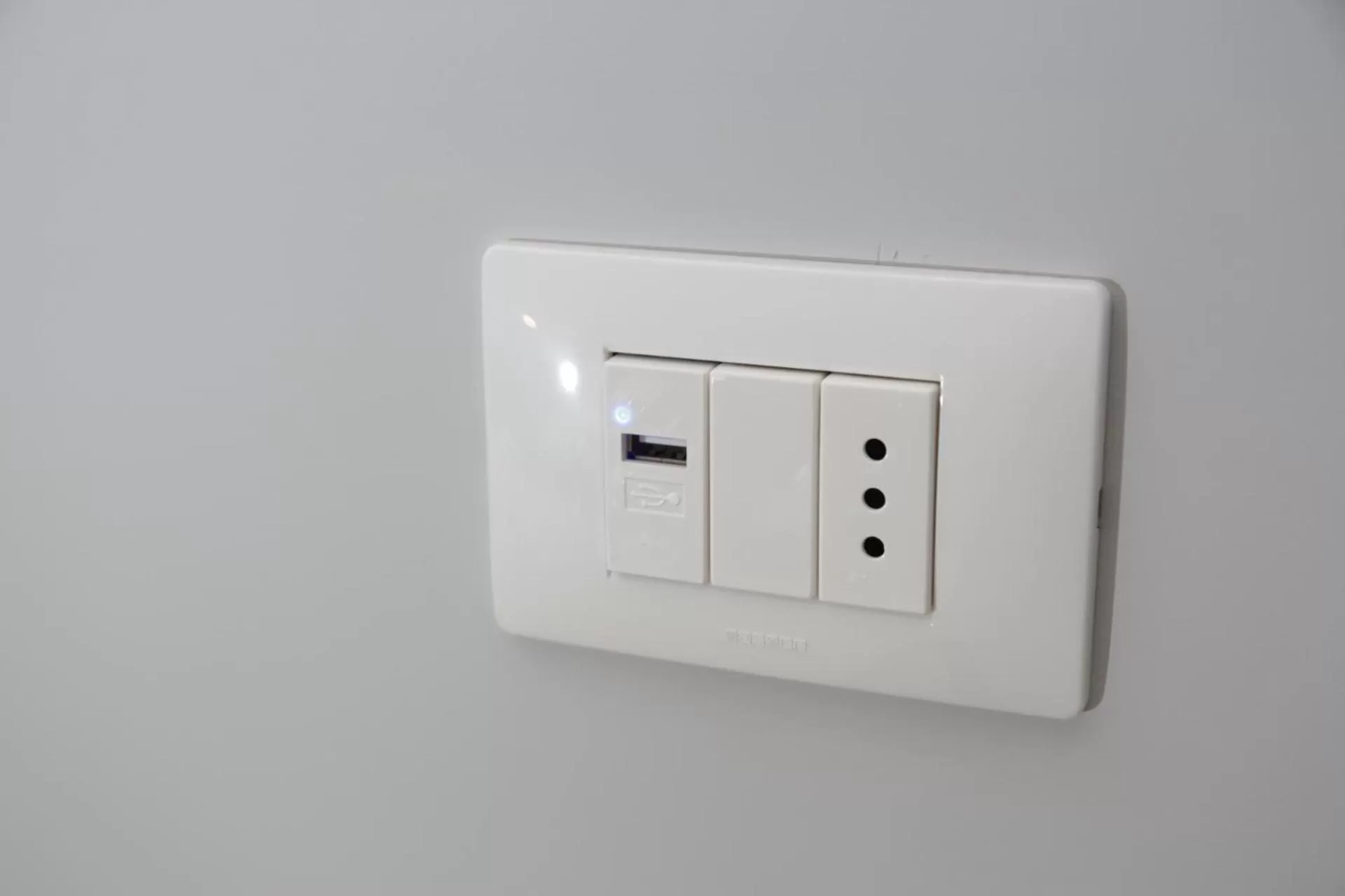 Logo/Certificate/Sign/Award in B&B Pika 48