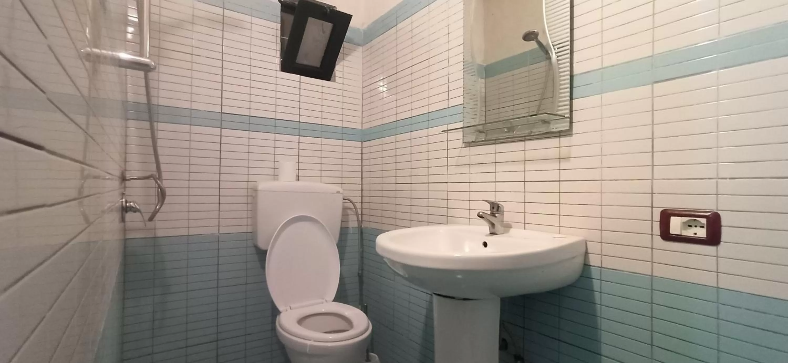 Maxola's Dream Orikum