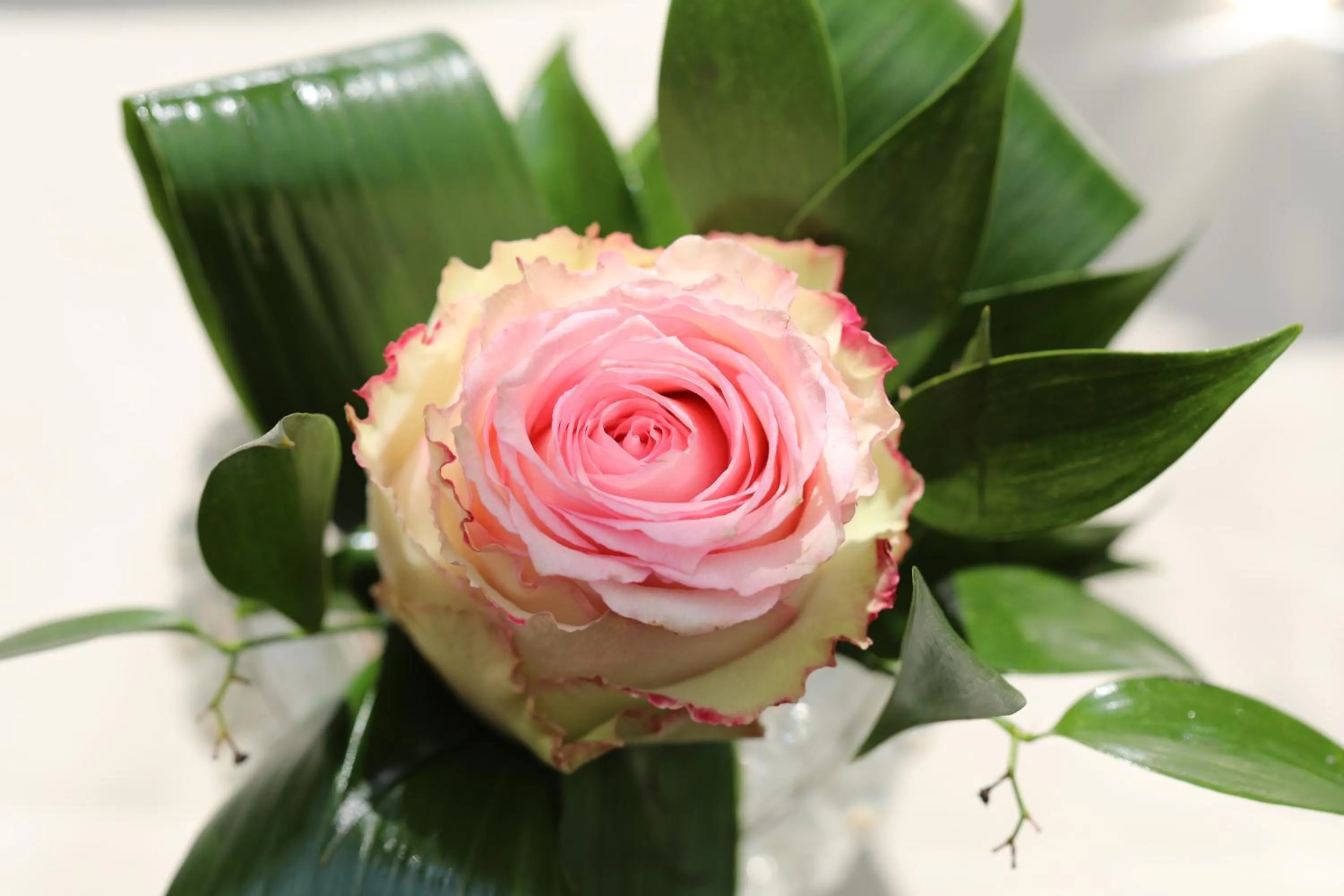 Restaurant/places to eat in Mon Port Hotel & Spa