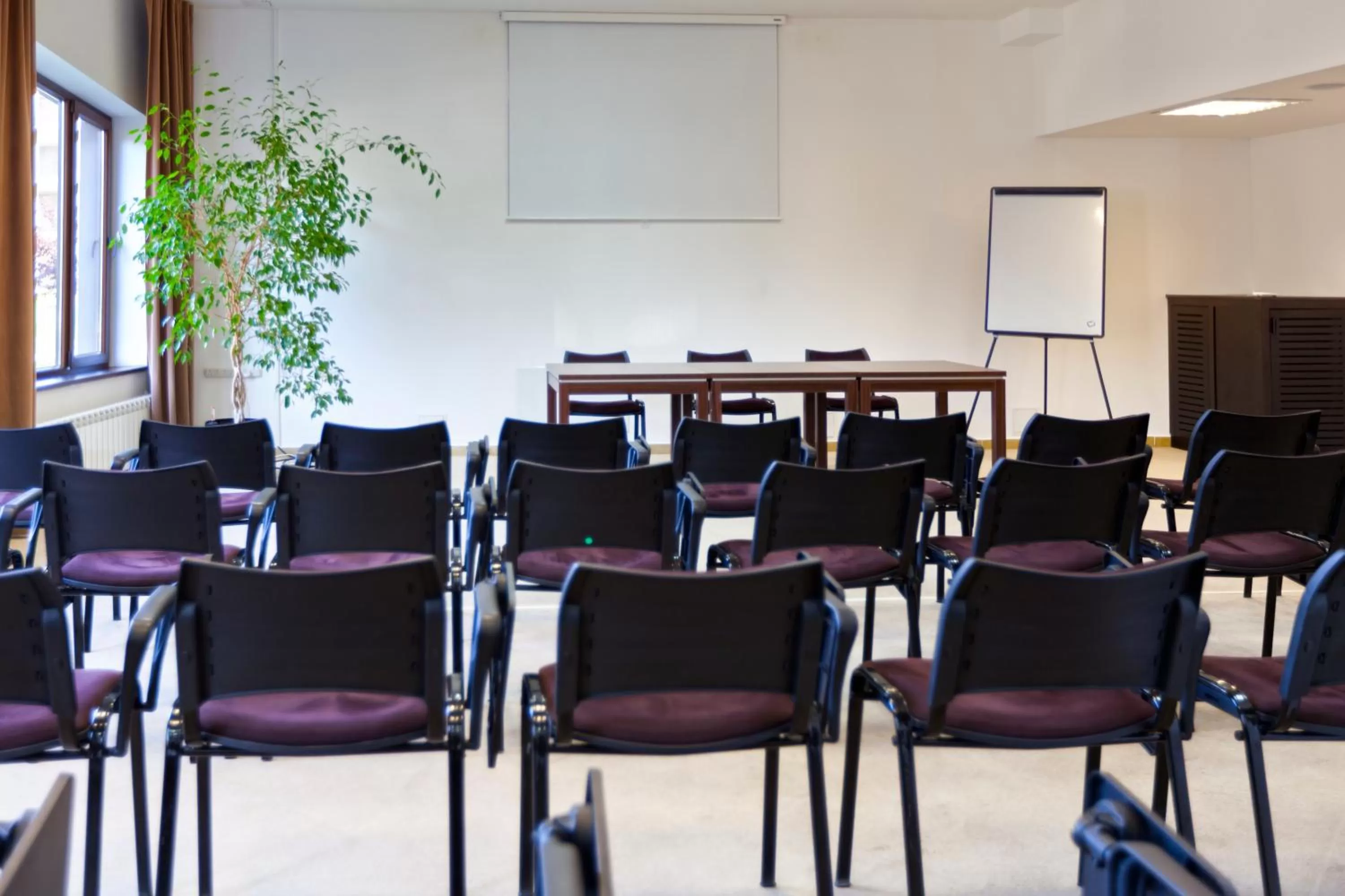 Business facilities in Terra Hotel