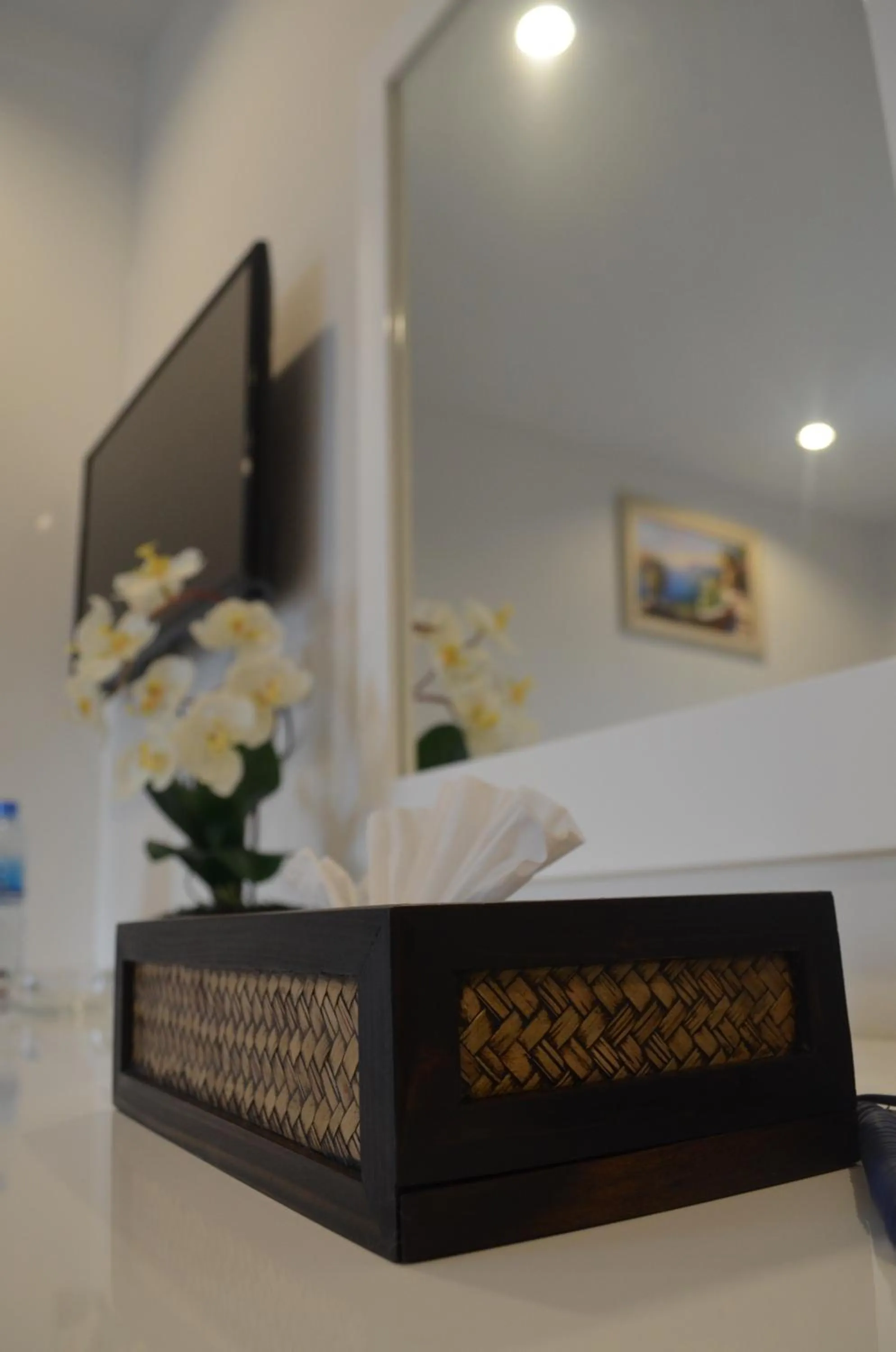 TV and multimedia in Klongrien Boutique Hotel