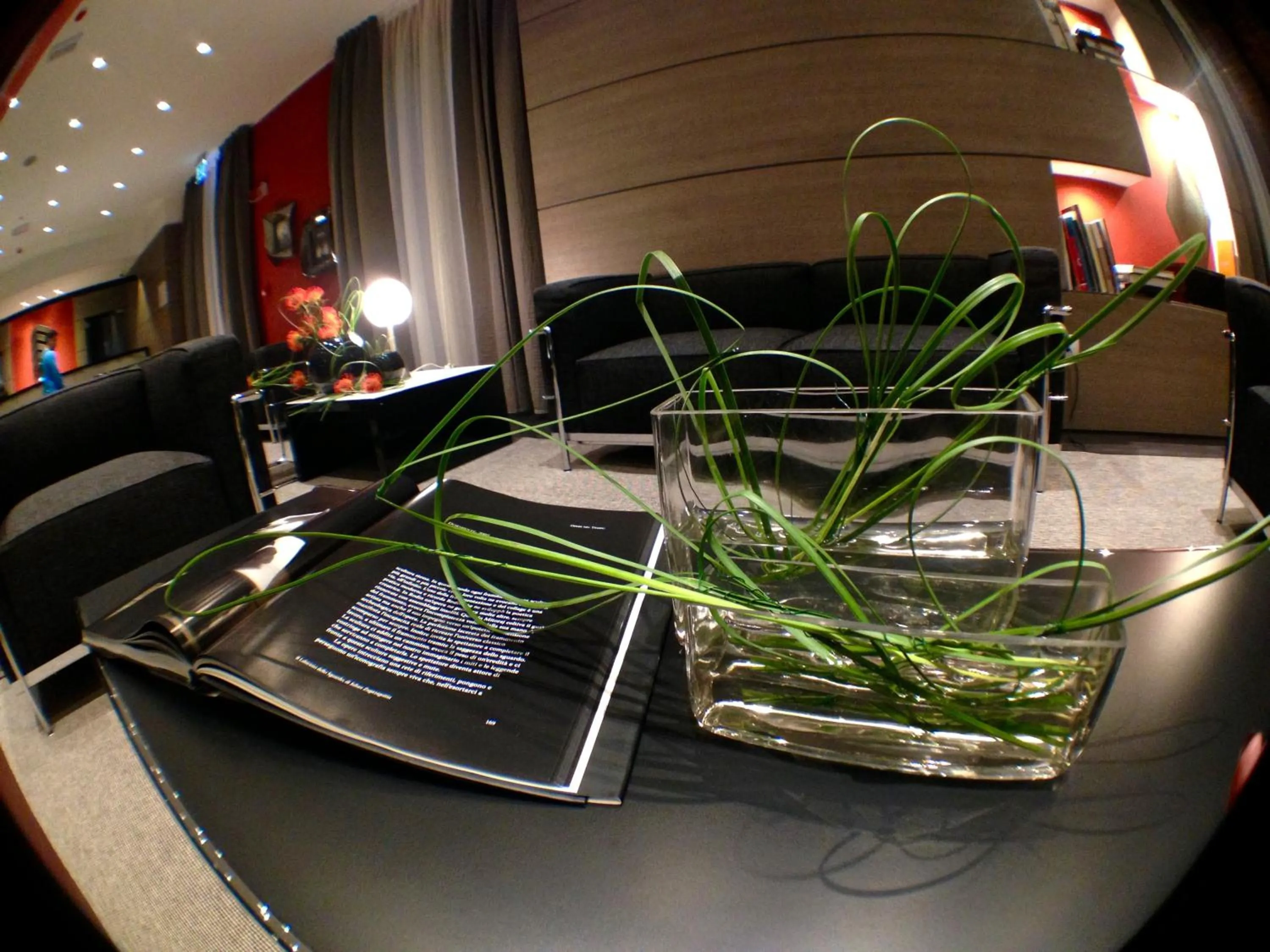 TV and multimedia in Hotel Forum