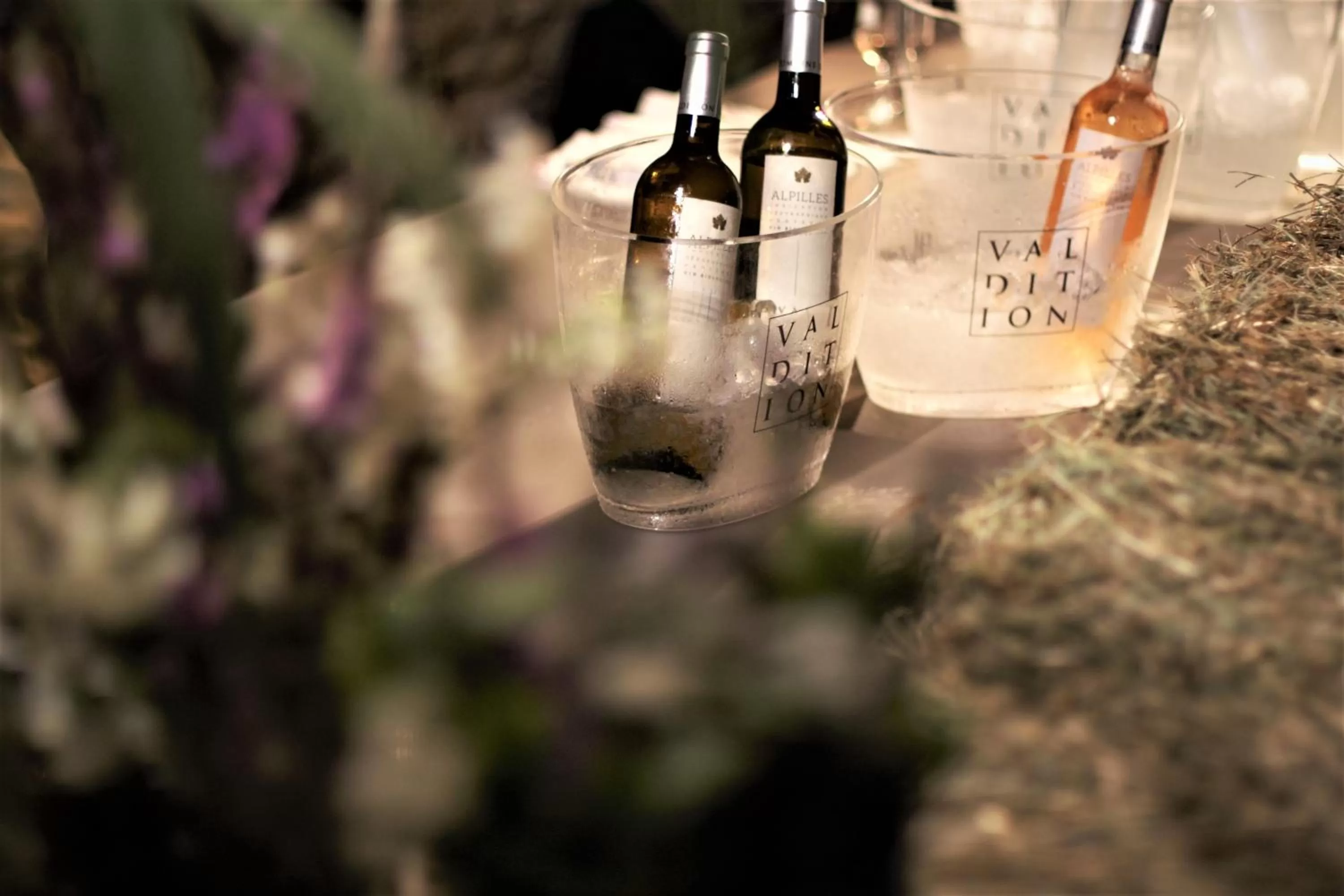 Drinks in Domaine la Pierre Blanche