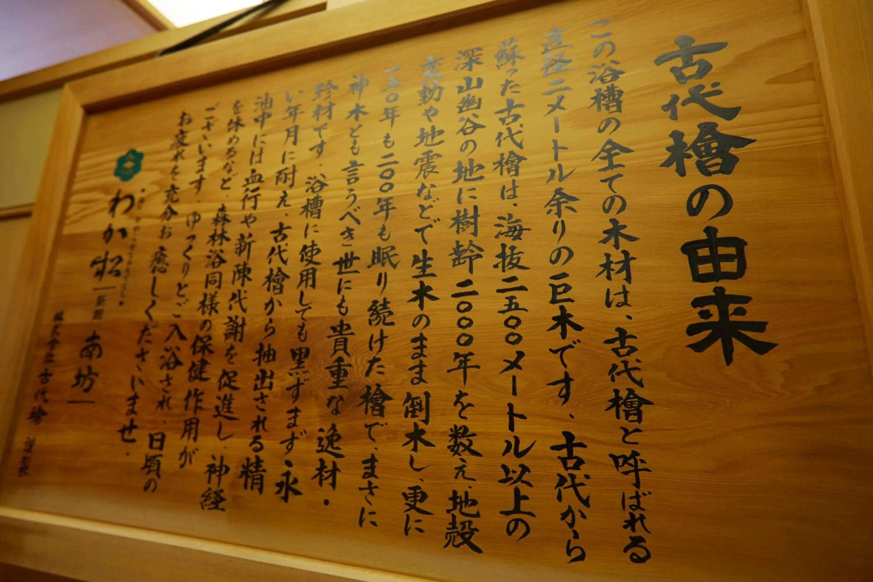 Hot Spring Bath in Wakamatsu Hot Spring Resort