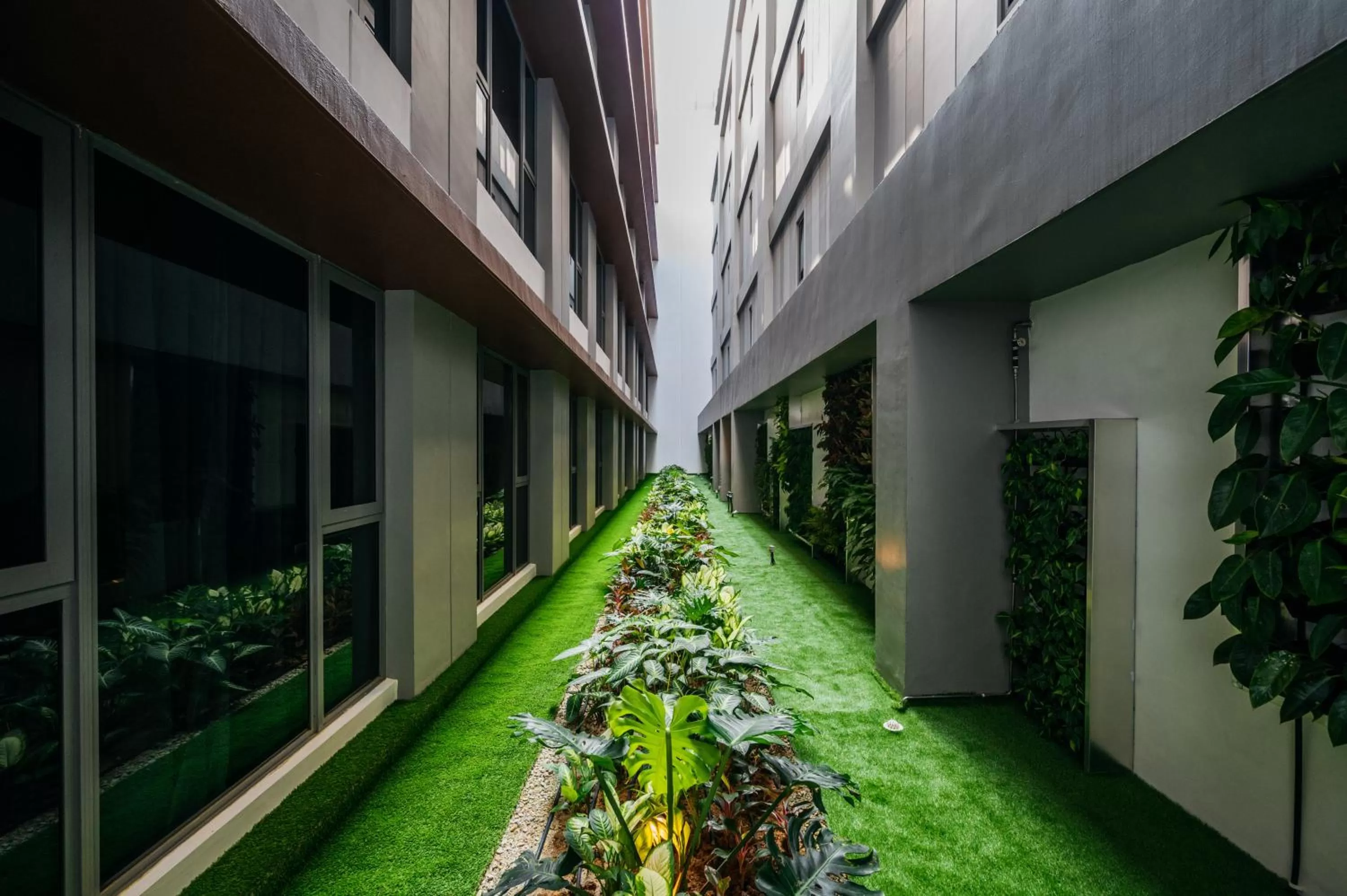 Garden view in Mercure Singapore Tyrwhitt