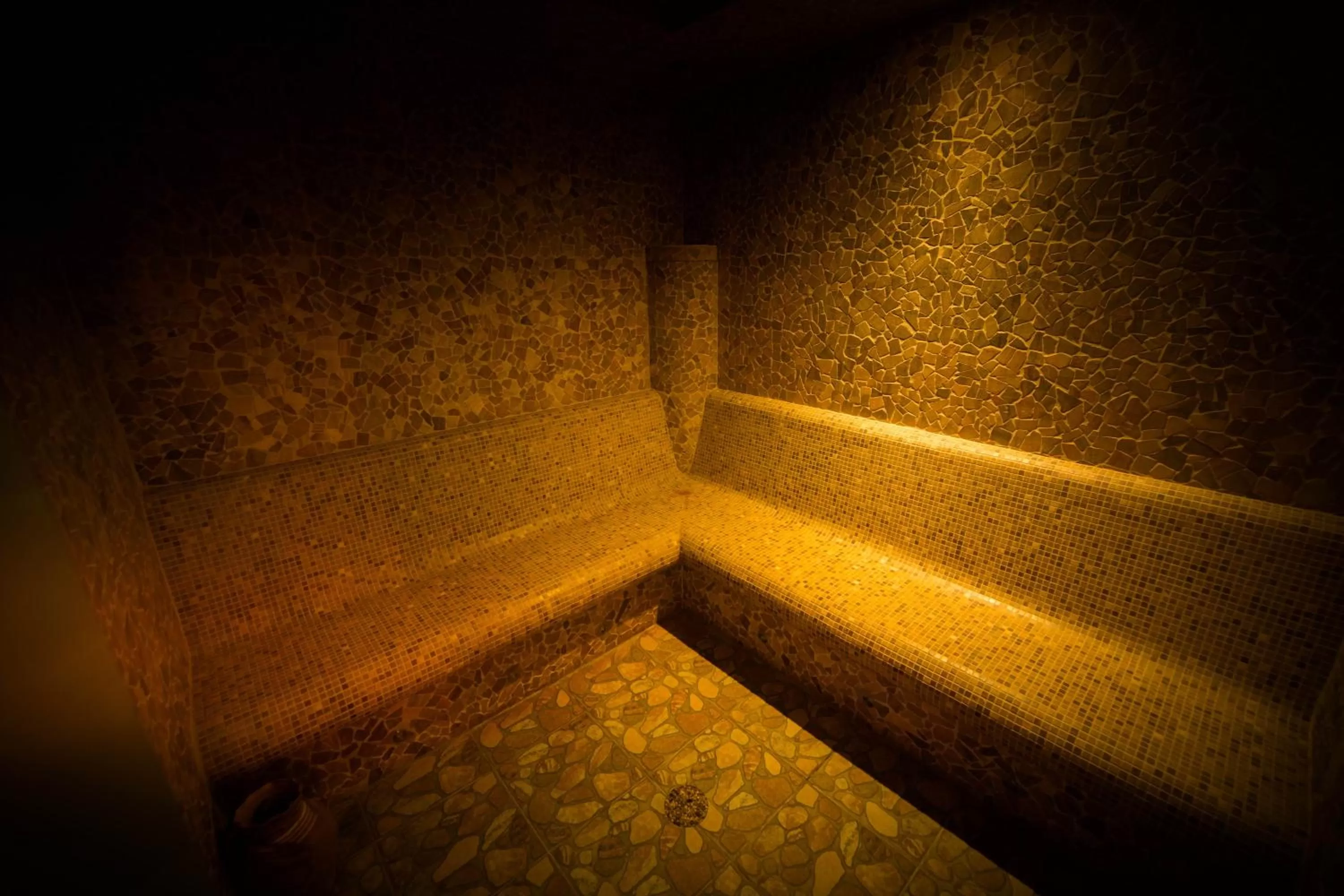 Sauna in Chalets CEDER 1