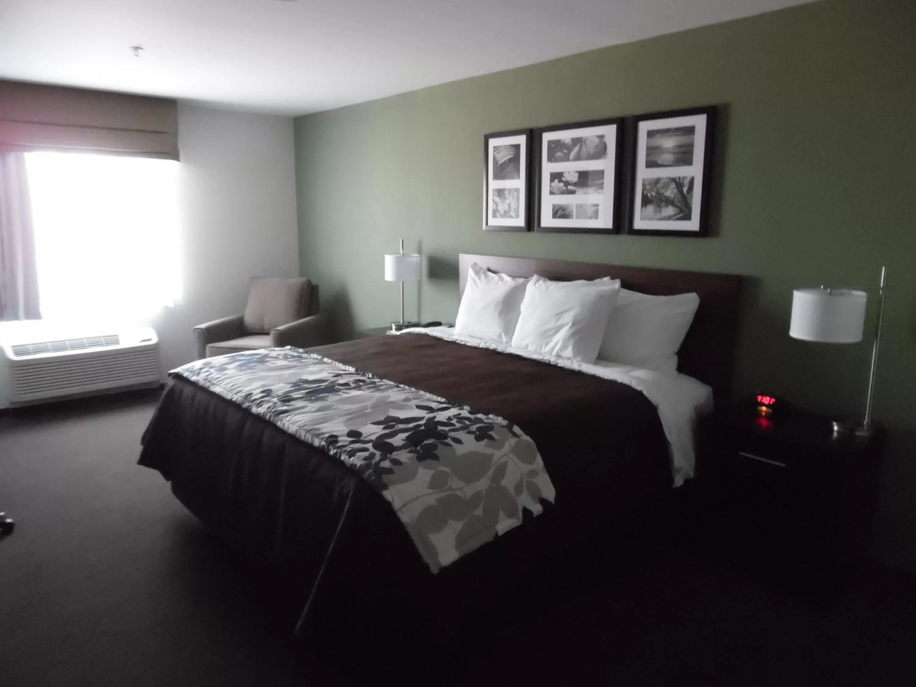 Bedroom, Bed in Sleep Inn & Suites Syracuse Airport