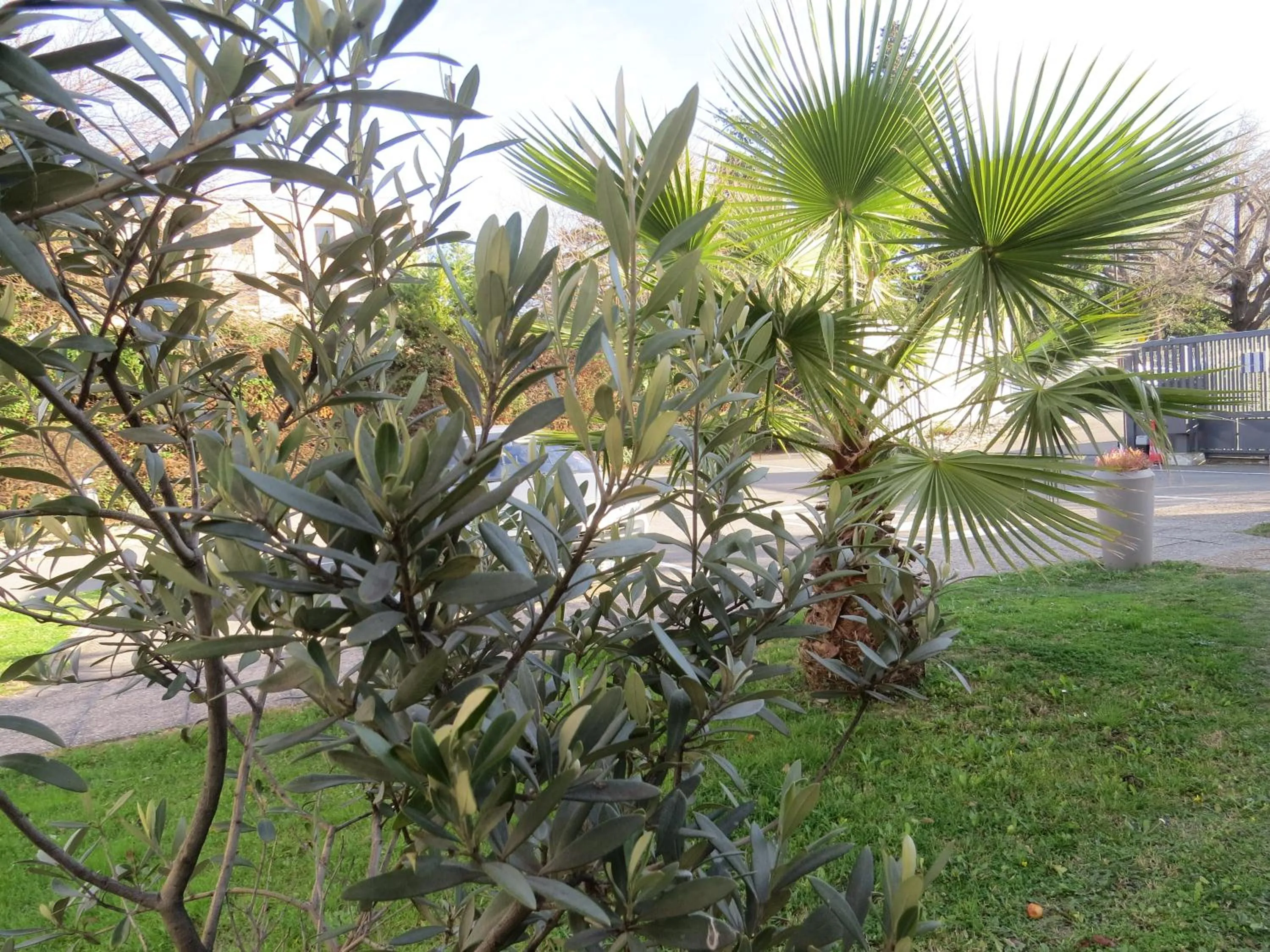 Natural landscape in Hôtel Kyriad Cap Sud