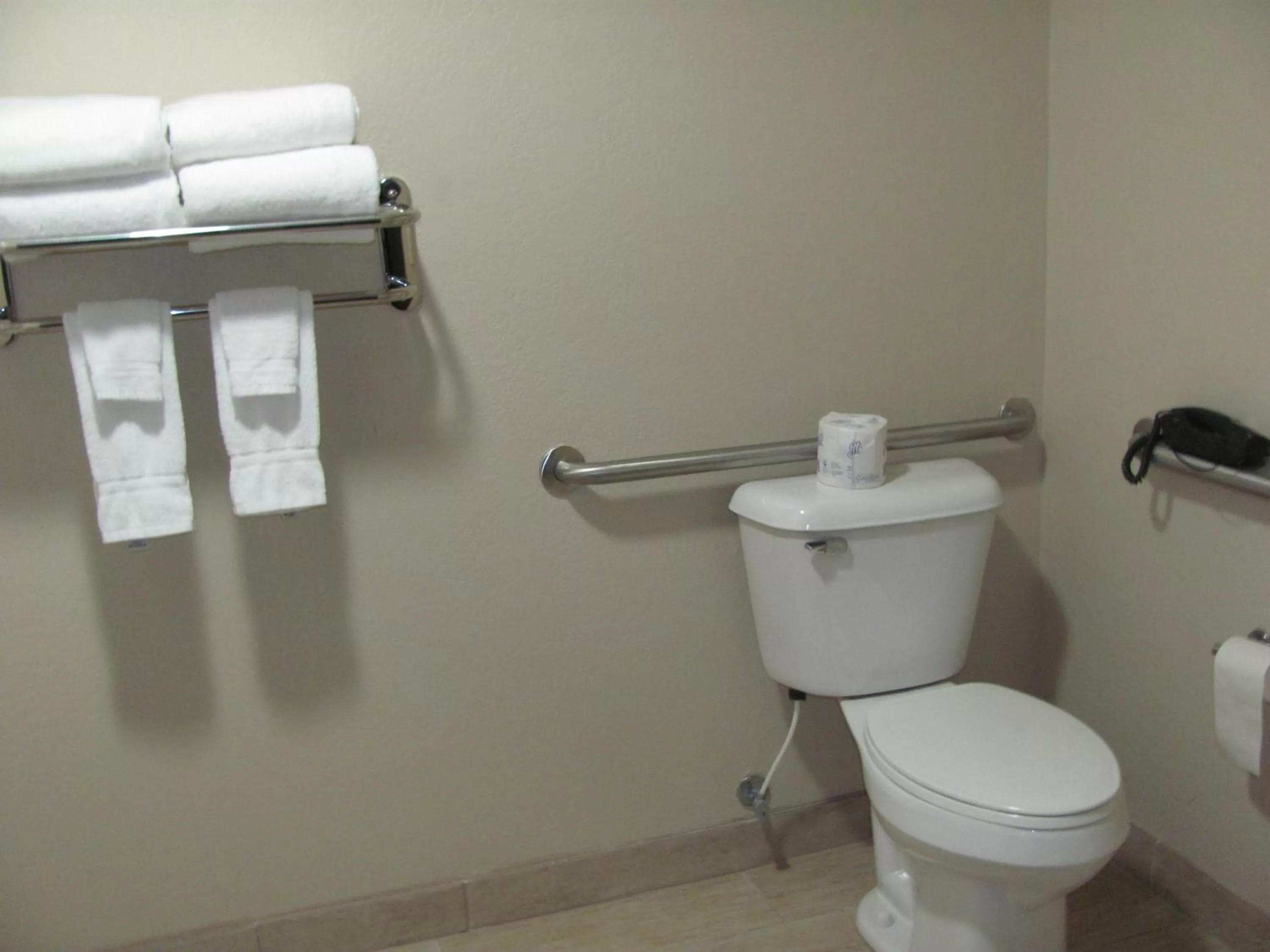 Toilet in Cobblestone Inn & Suites - Fort Dodge