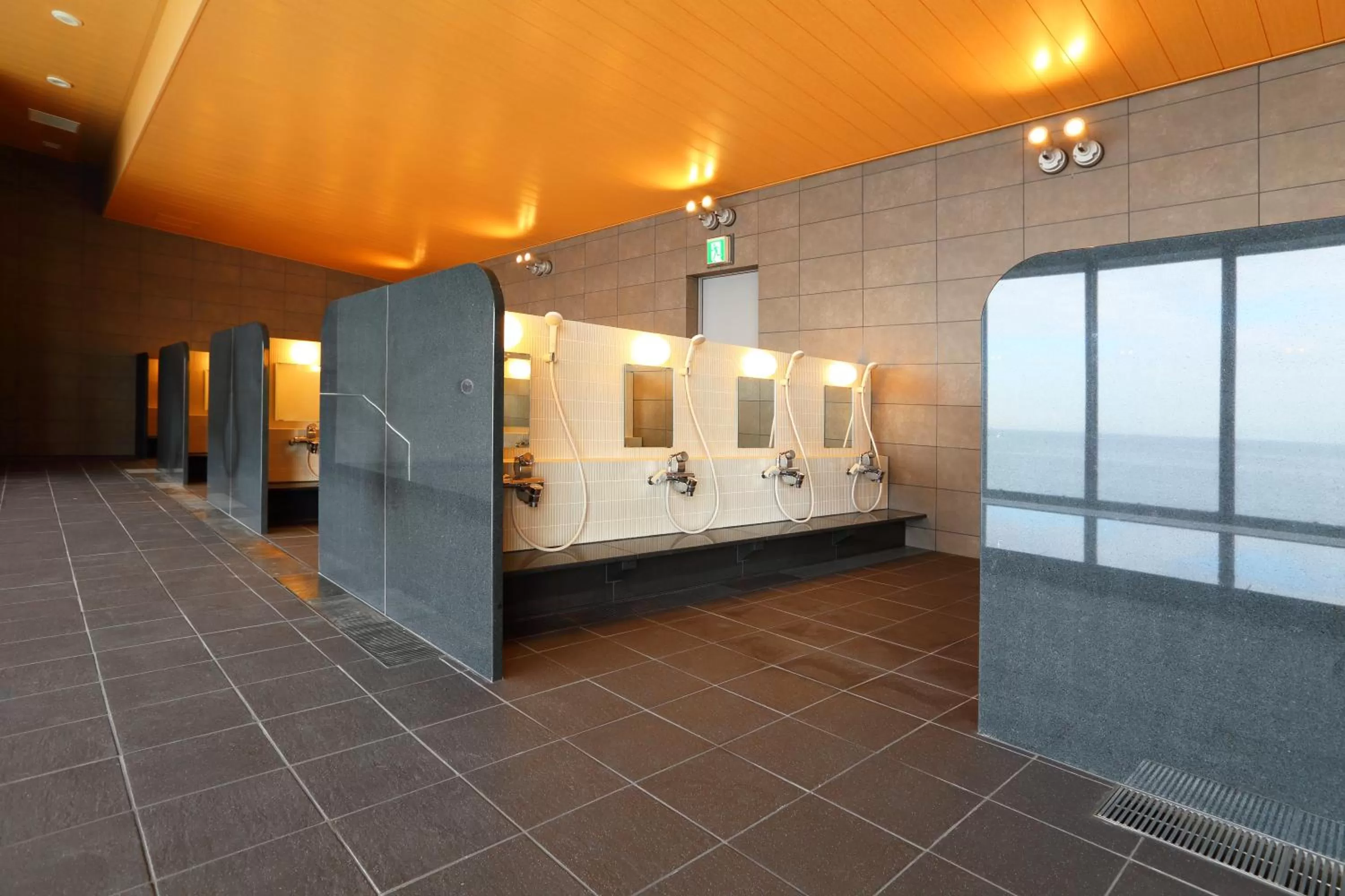 Hot Spring Bath, Bathroom in Henn na Hotel Kansai Airport