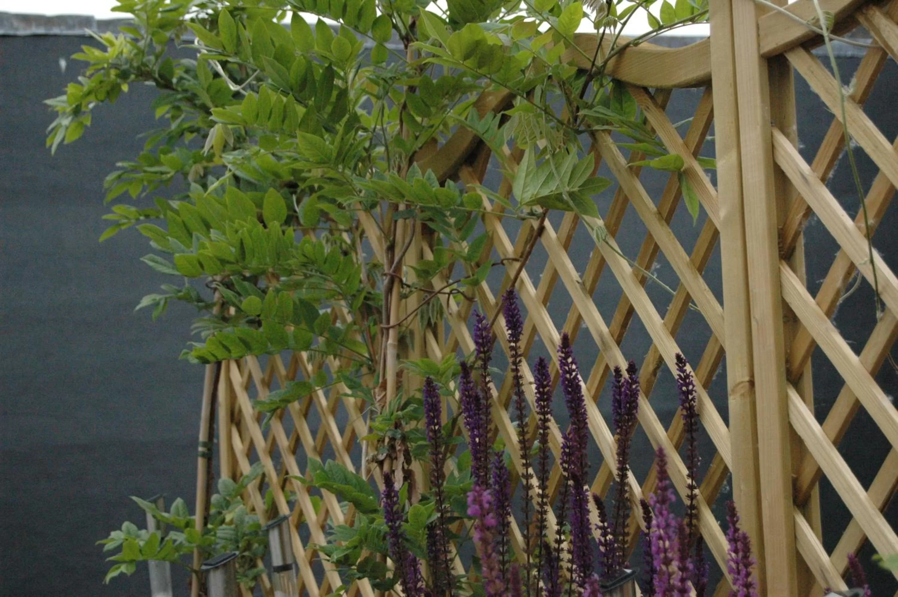 Decorative detail in B&B Family@home66