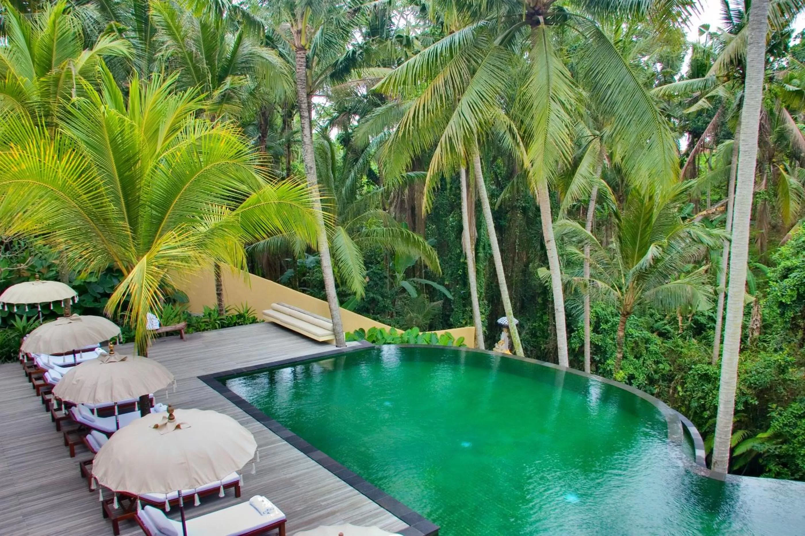 Pool view in Komaneka at Rasa Sayang Ubud