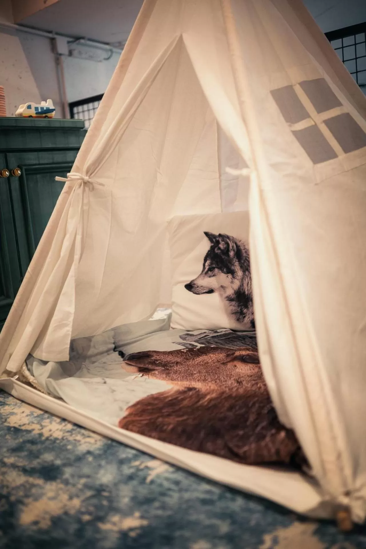 Children play ground in Sendlhofer's