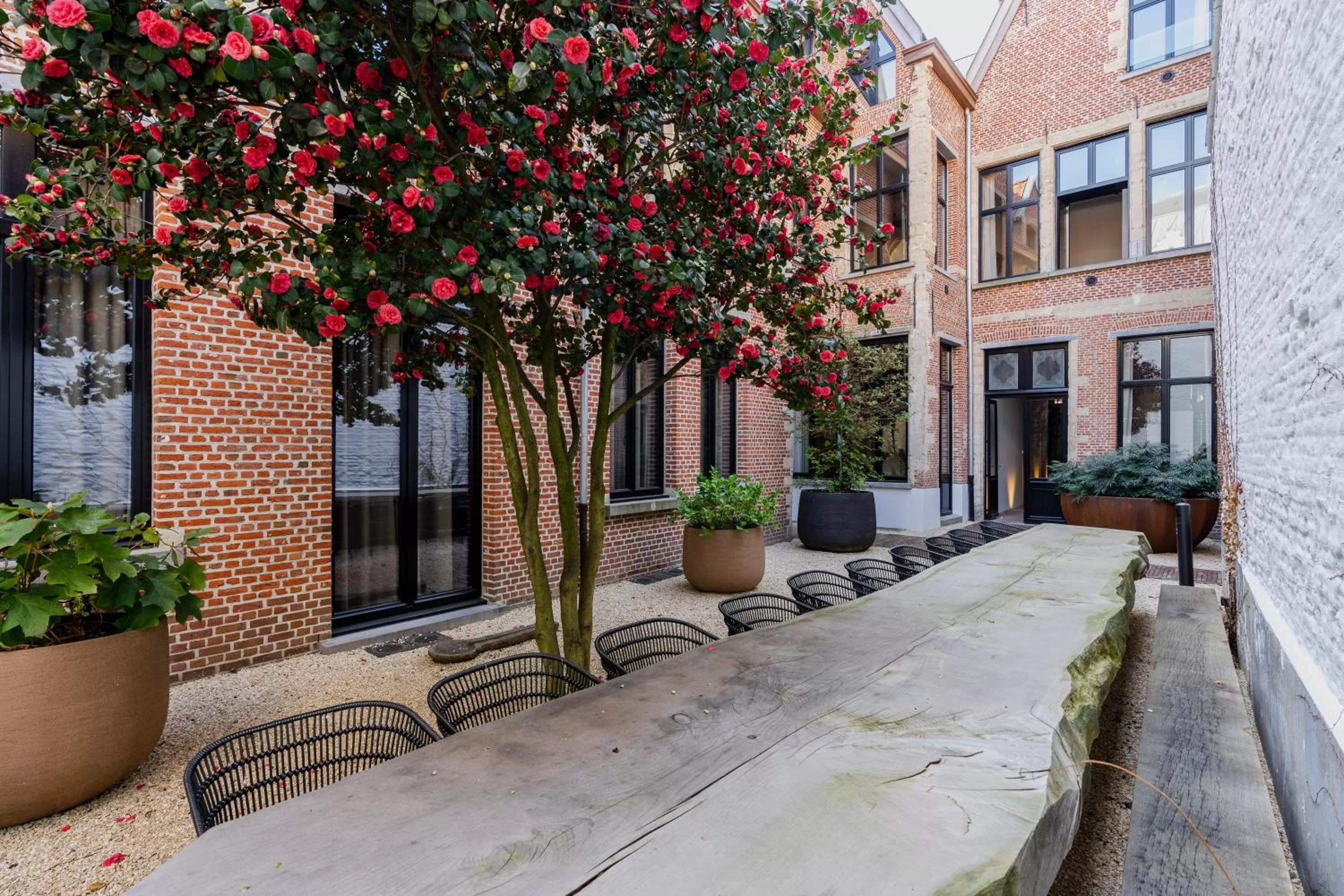 Garden in BTFL Living Antwerp