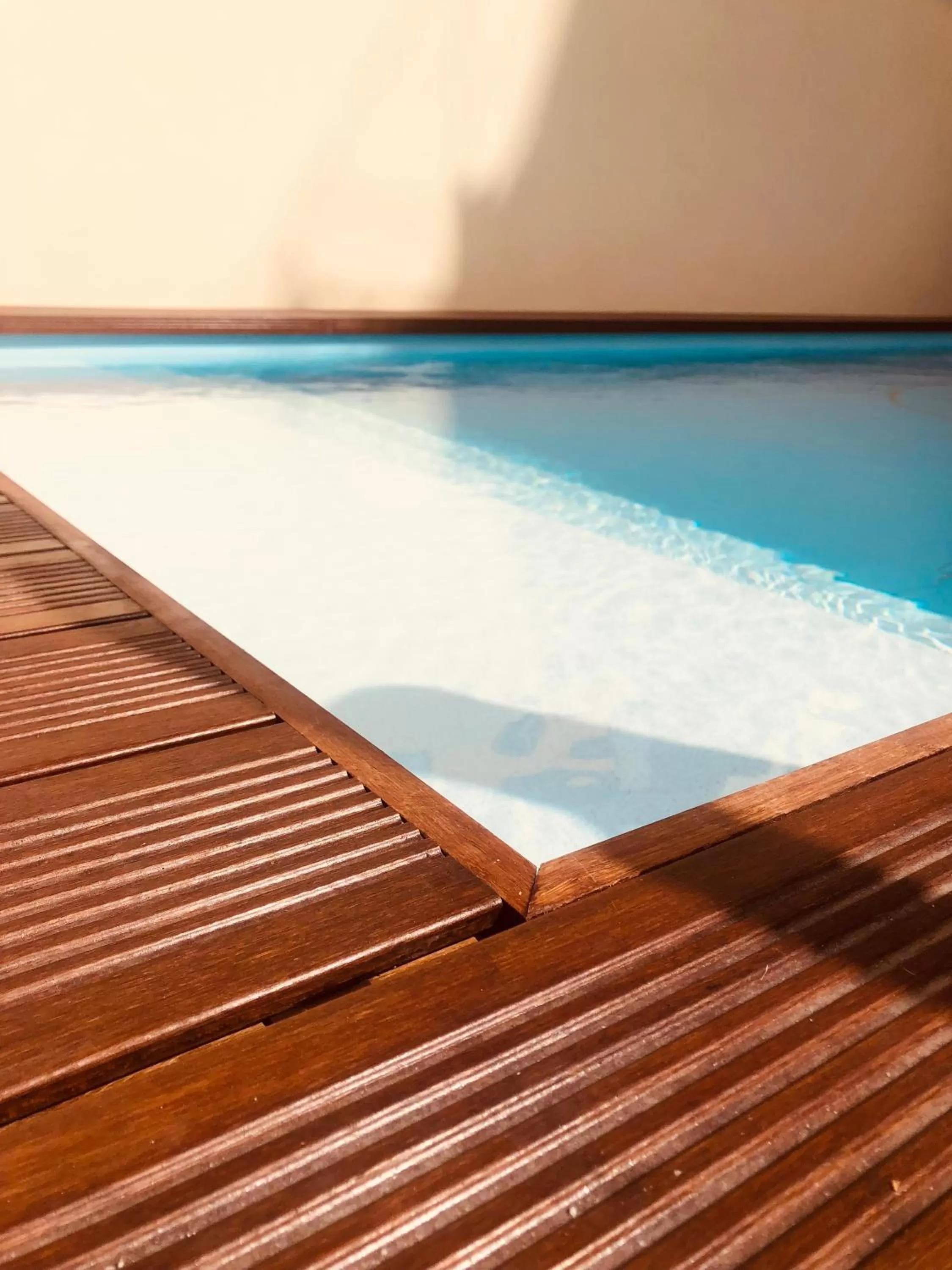 Swimming Pool in TM Luxury Apartments Lisbon