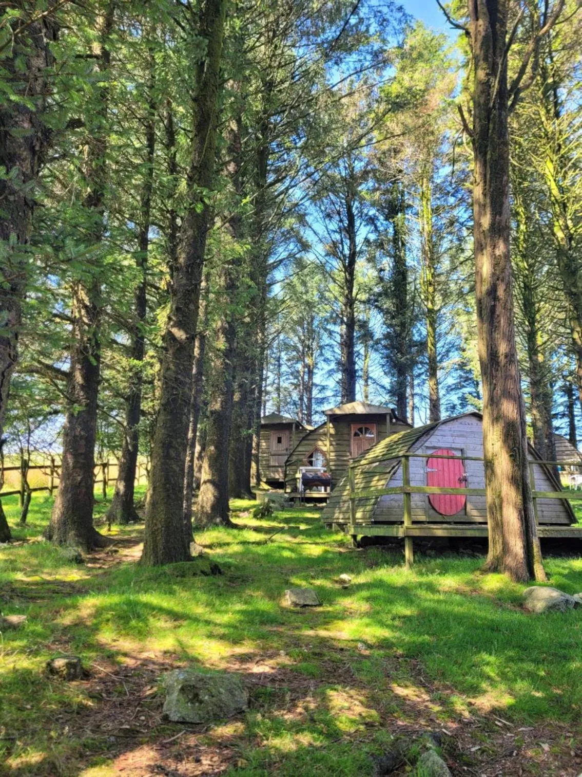 Garden in Wheal Tor Hotel & Glamping
