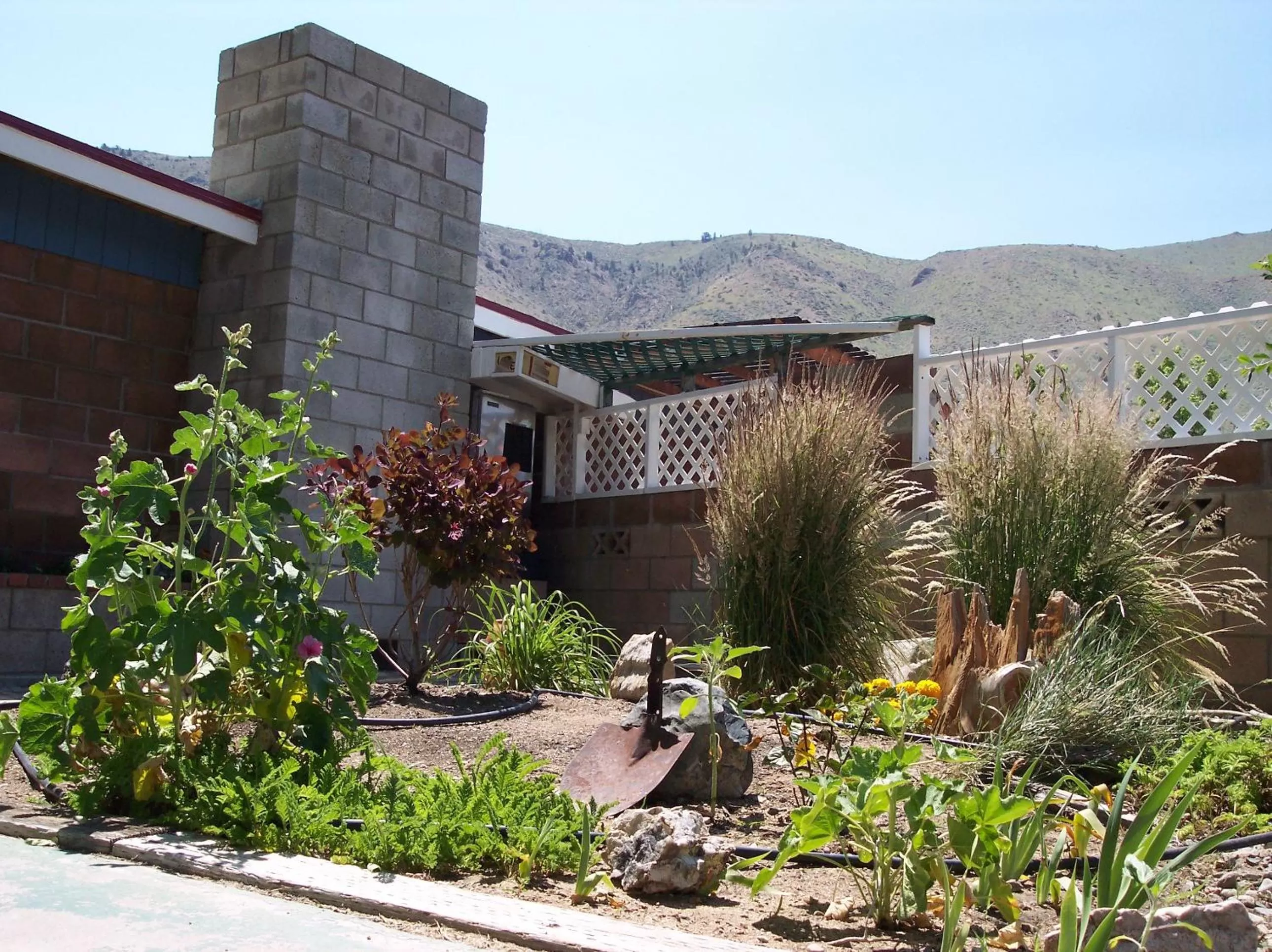 Natural landscape in Toiyabe Motel