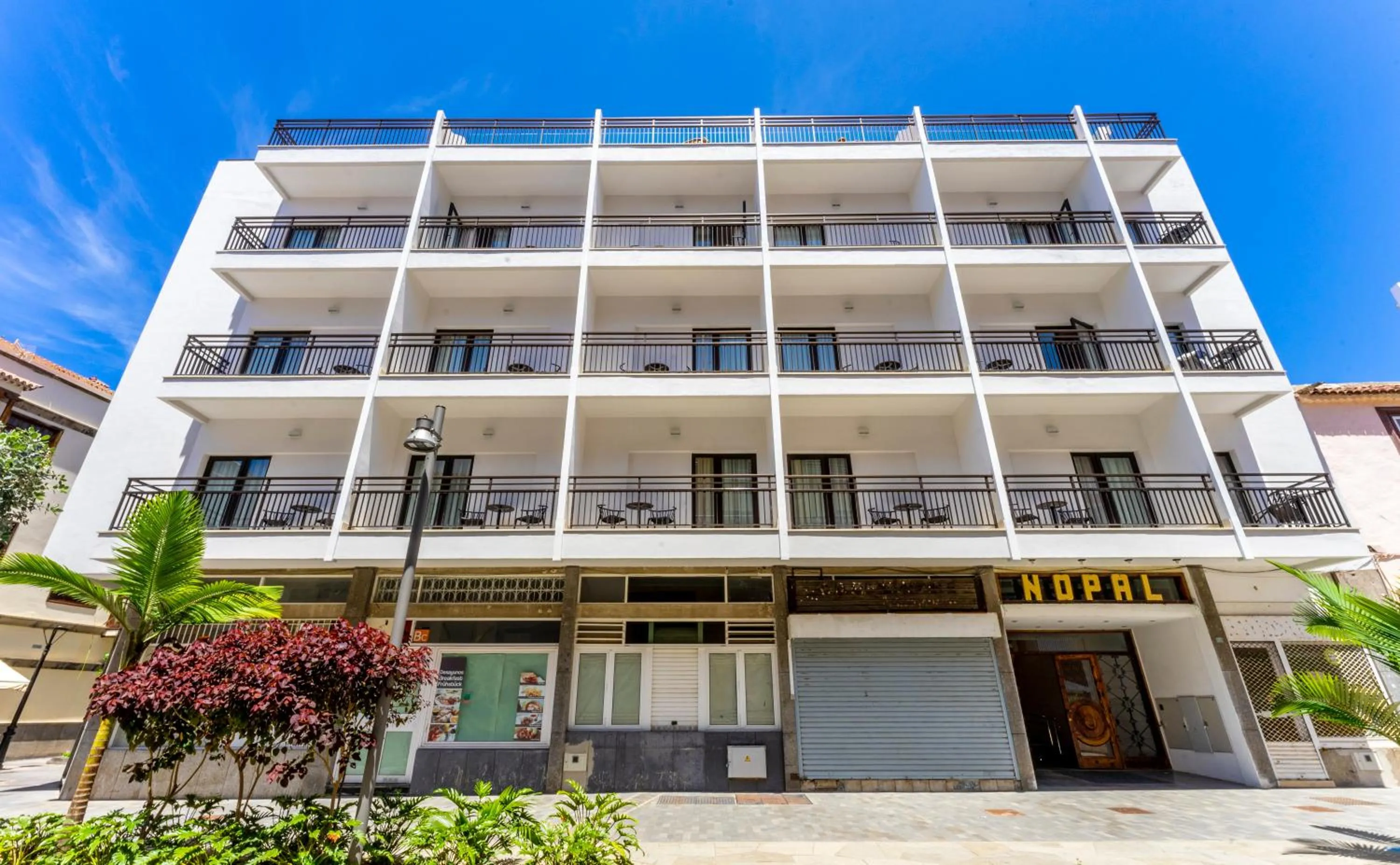 Property building in DWO Nopal