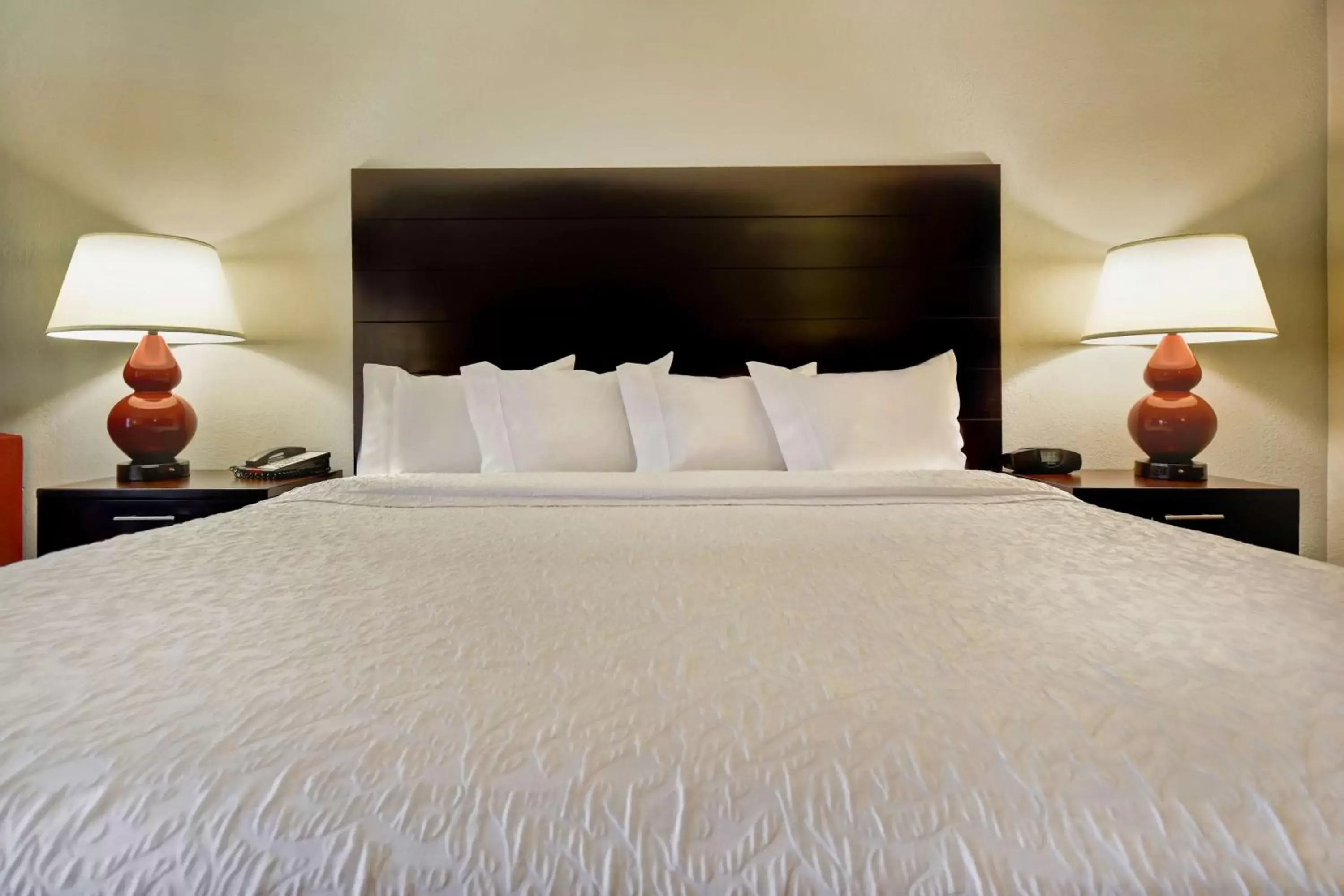 King Suite in Hampton Inn Starkville King Suite in Hampton Inn Starkville