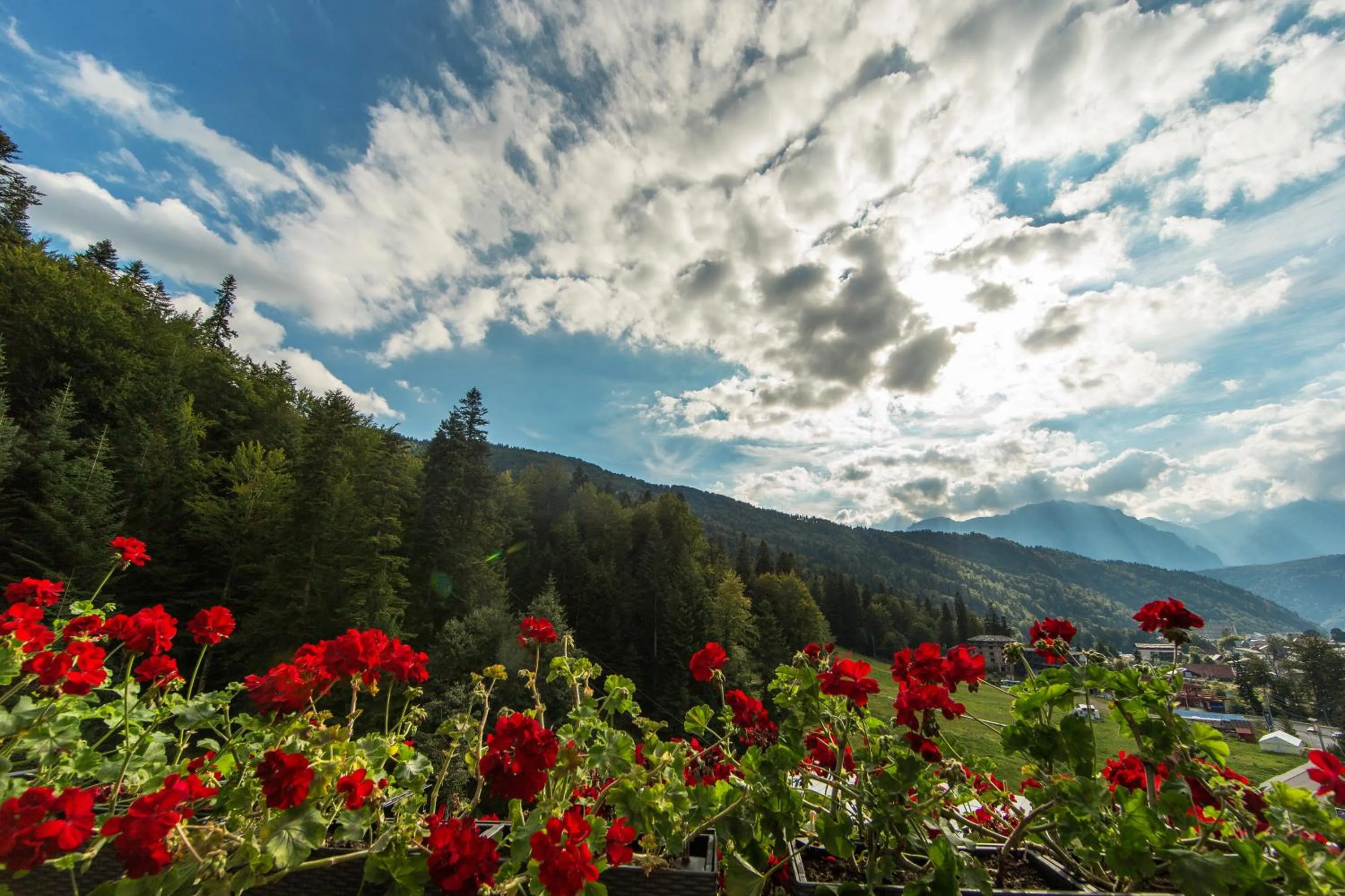Spring in Lux Garden Hotel
