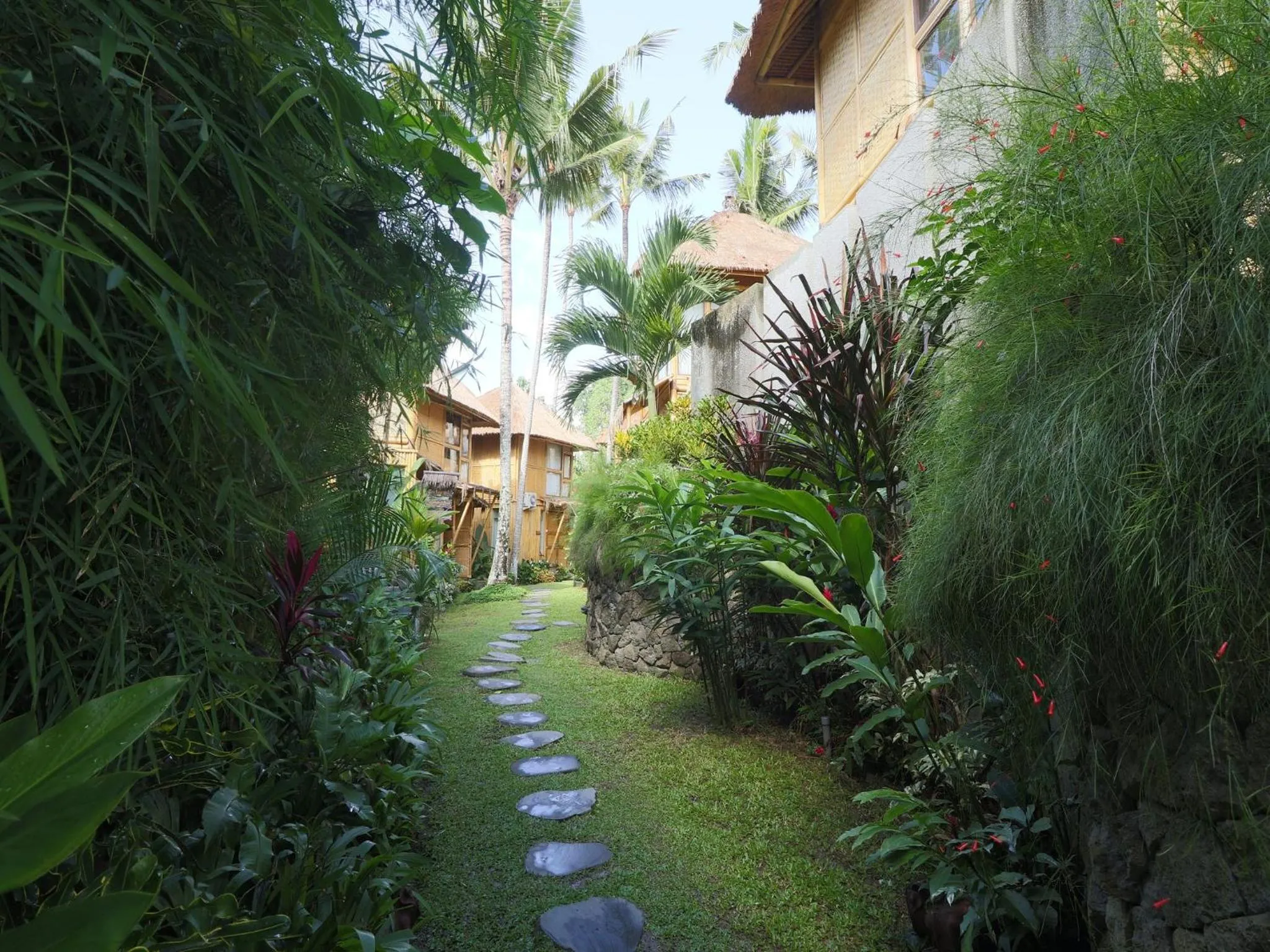 Natural landscape in Biyukukung Suite & Spa